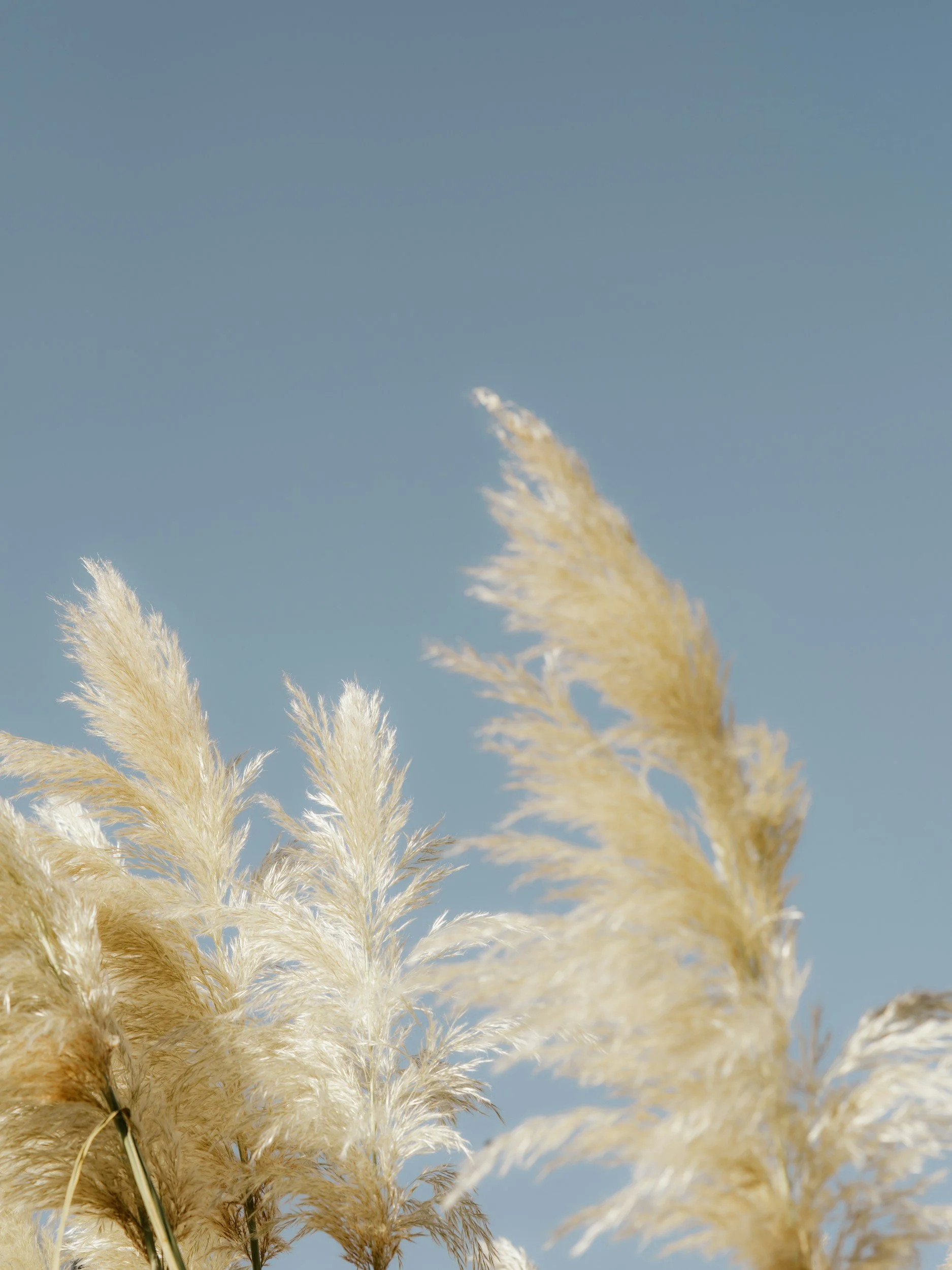 How to make micro-choices towards softness