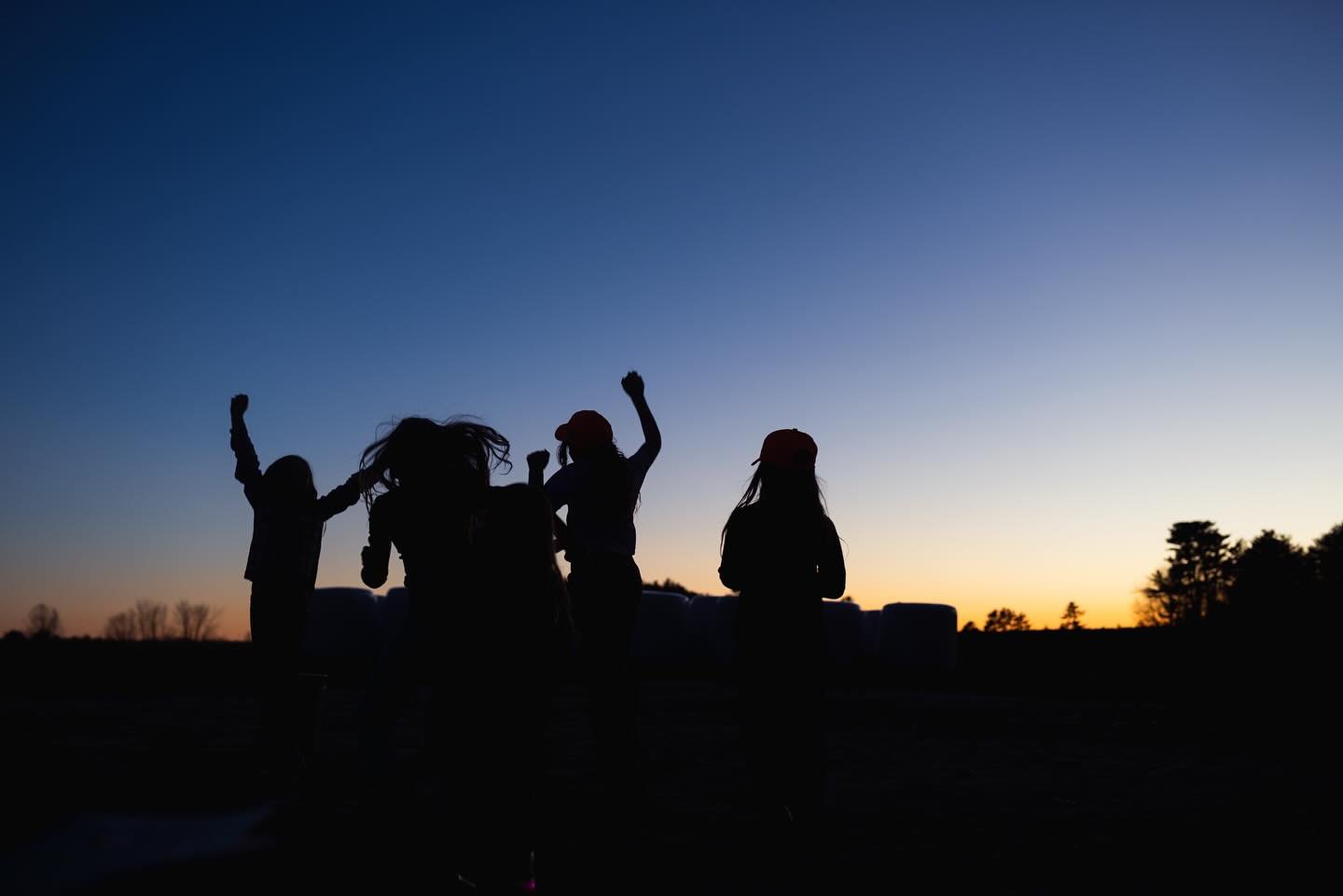 Hunting support squad on the farm