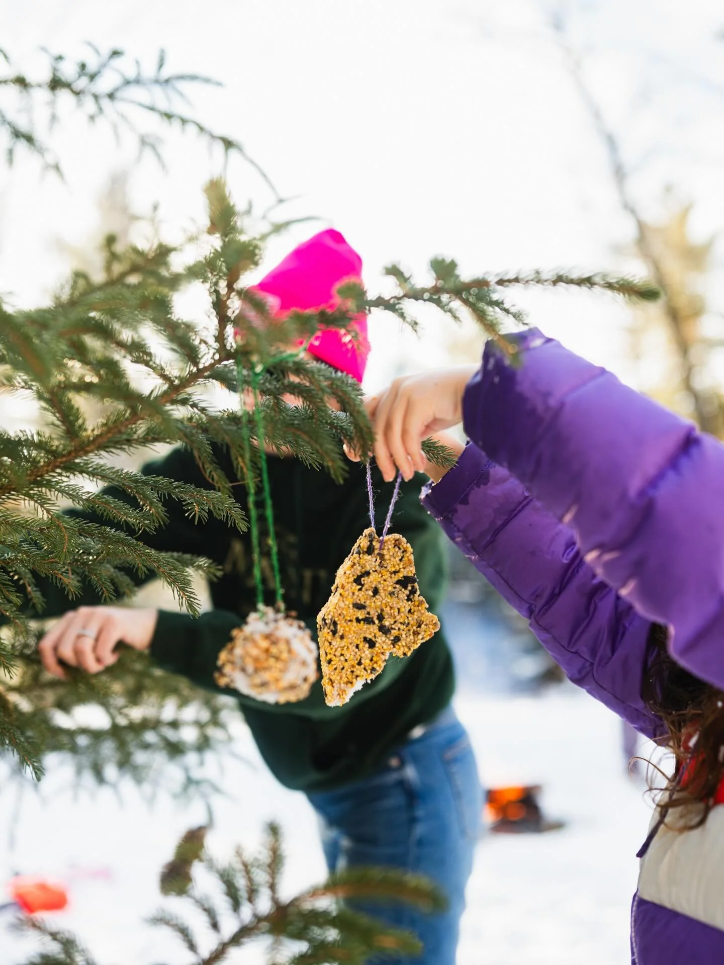 It&rsquo;s been a week since solstice but were pretty sure the birds won&rsquo;t know the difference