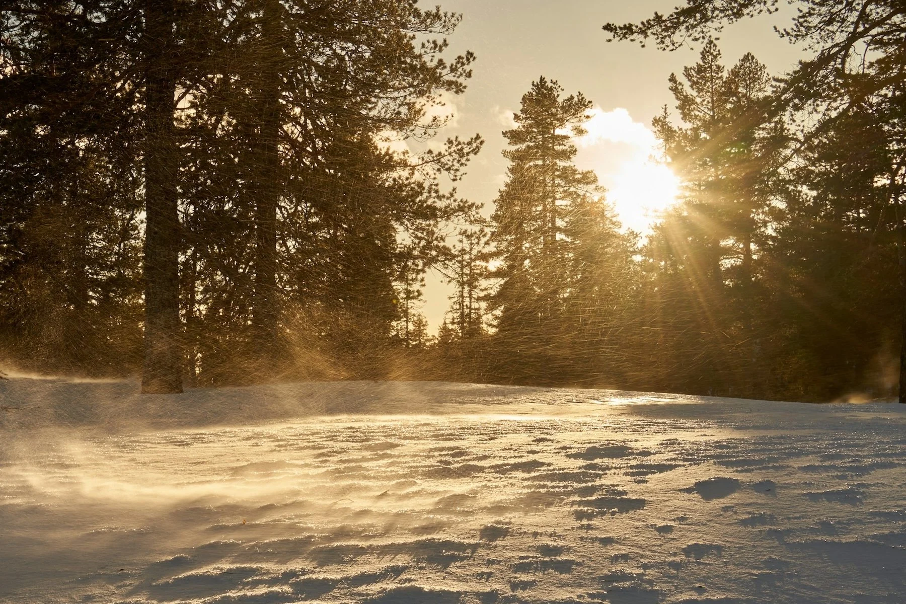 Midwinter Light