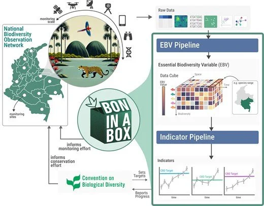 New paper published in BioScience: introducing BON in a Box