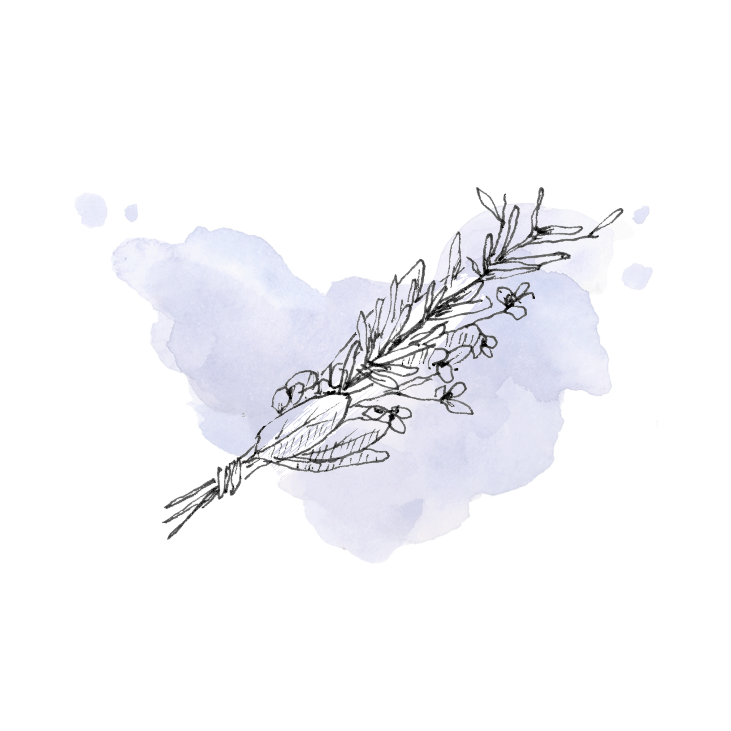 Kim Kardashian visual data 2