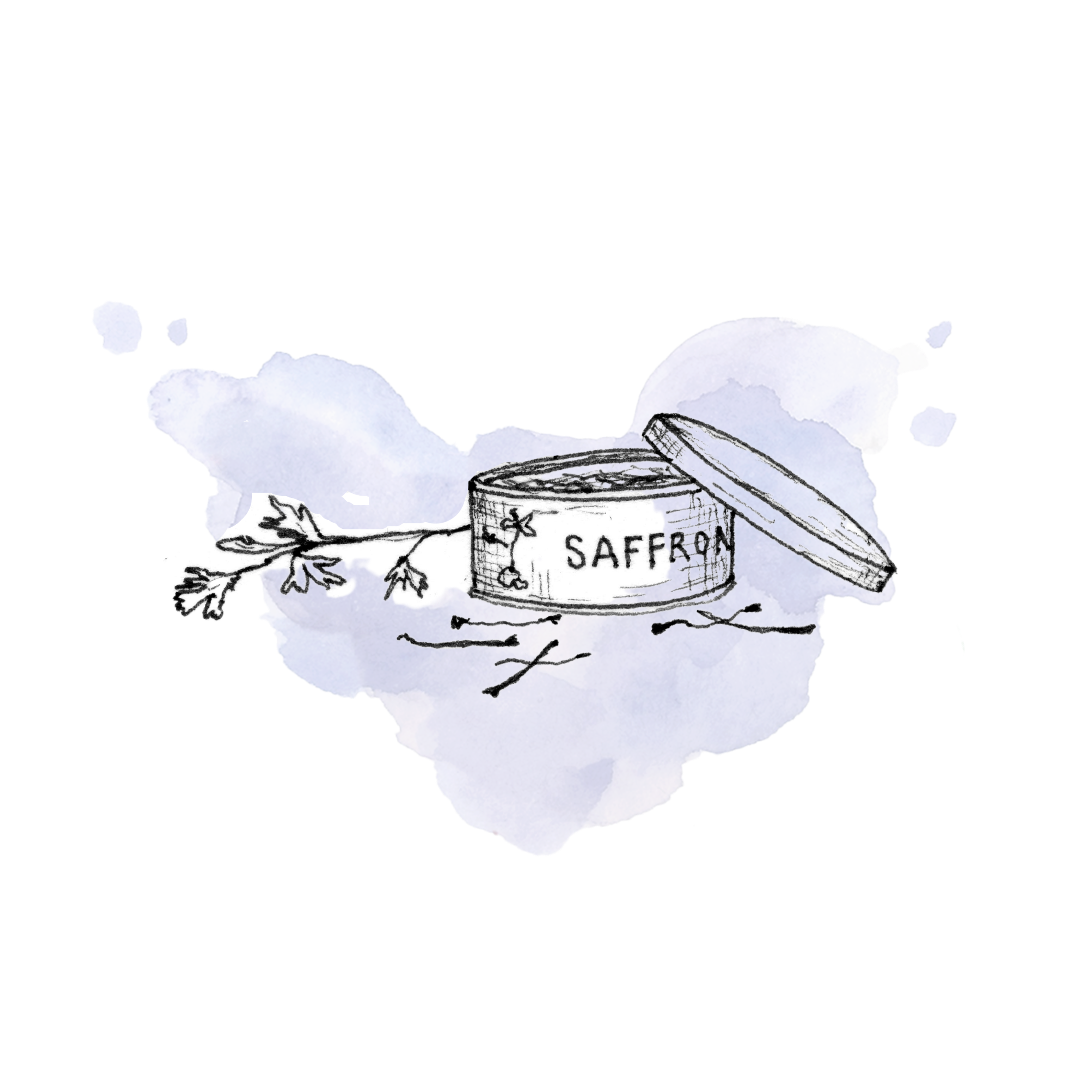 Kim Kardashian intelligence overview