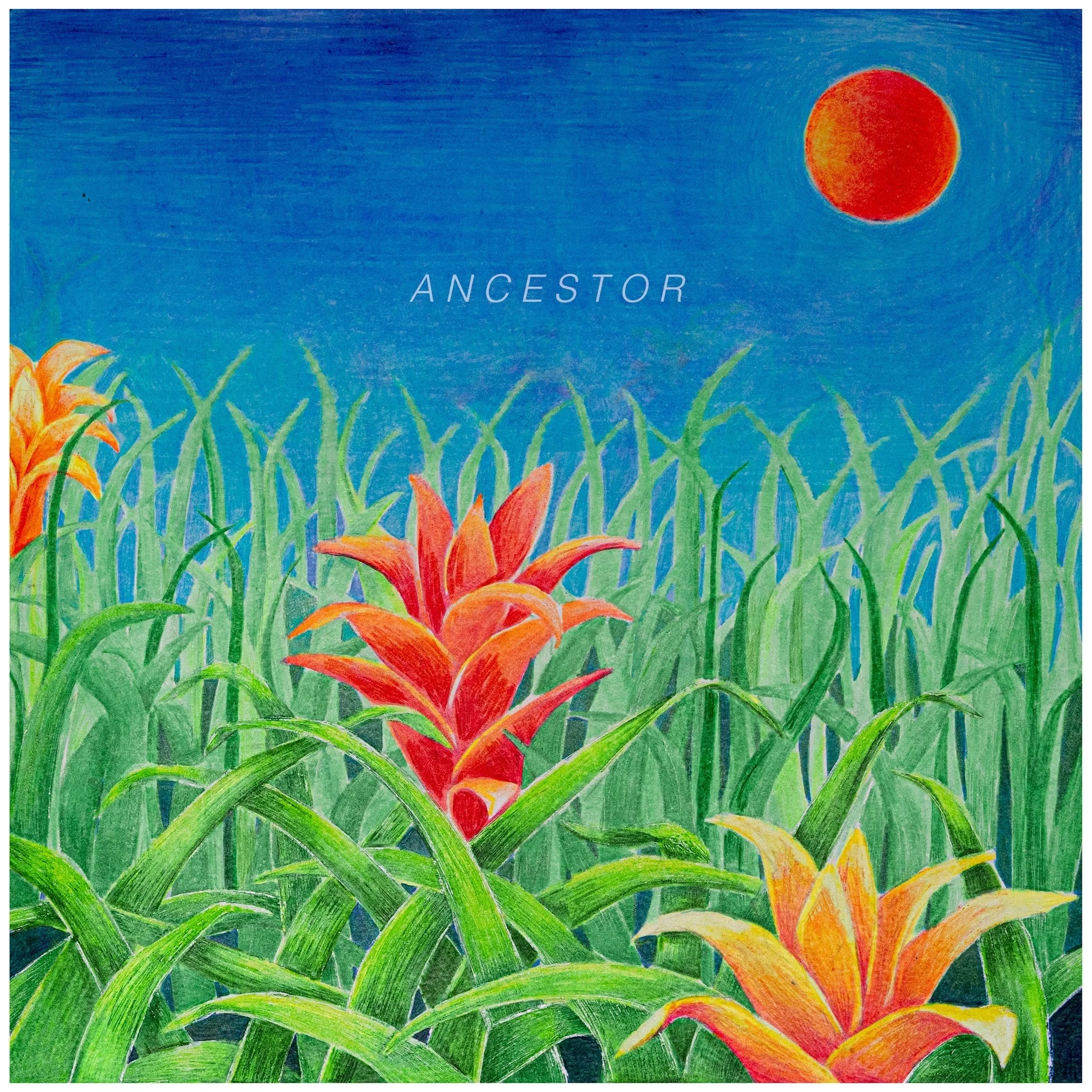Ancestor 