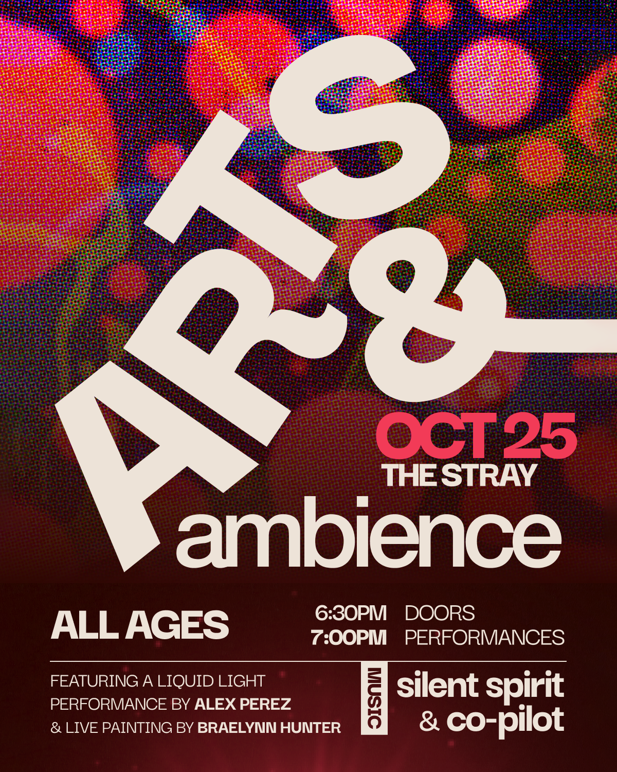 stray show - poster for insta.png