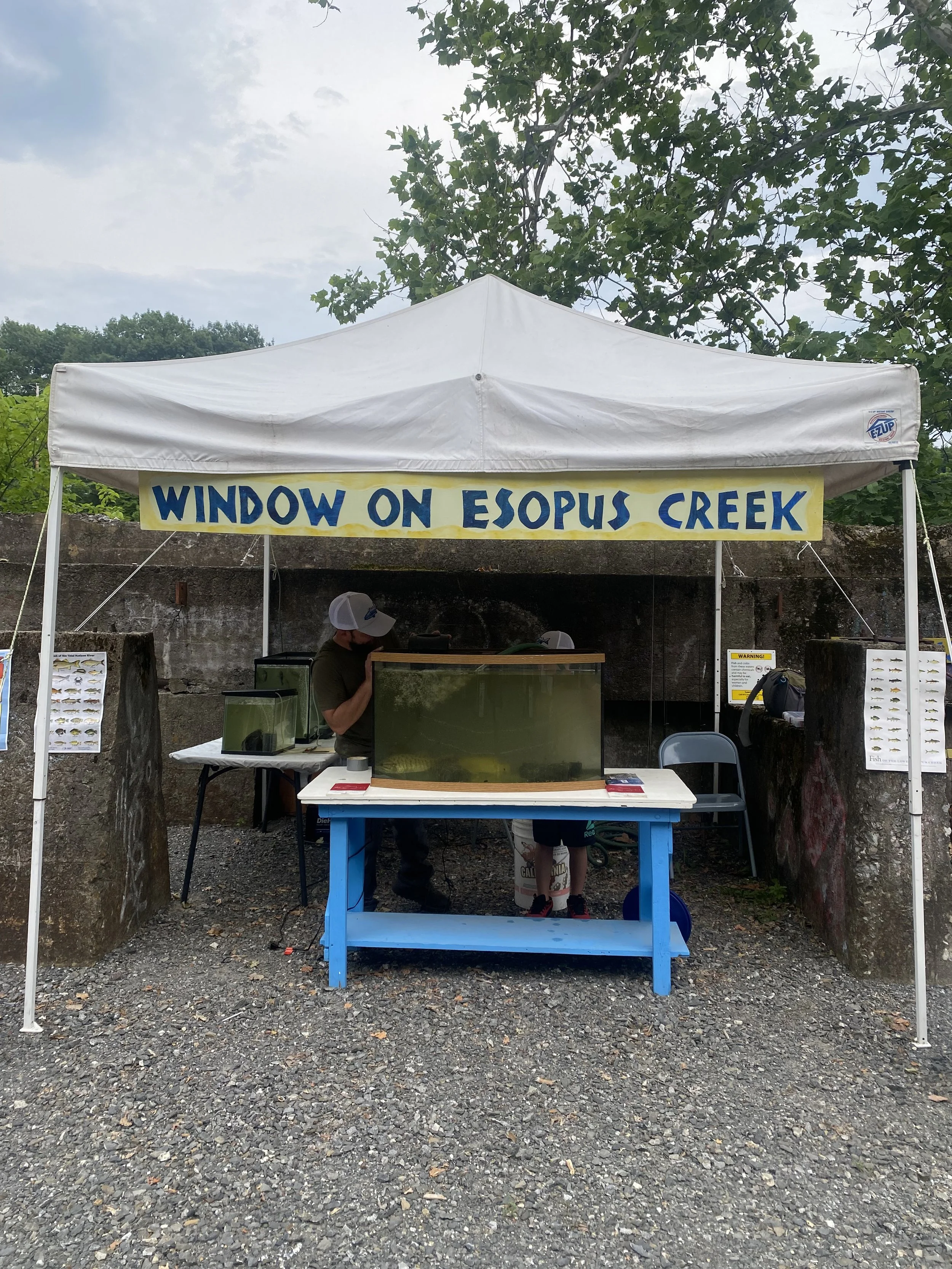 Window on the Esopus Creek, one of the Tidewater Center kiosks - our interactive aquarium