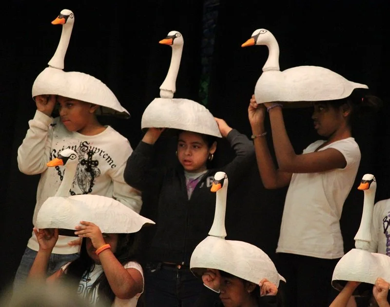 copy-of-swans-photo-by-Kris-Konyak.jpeg