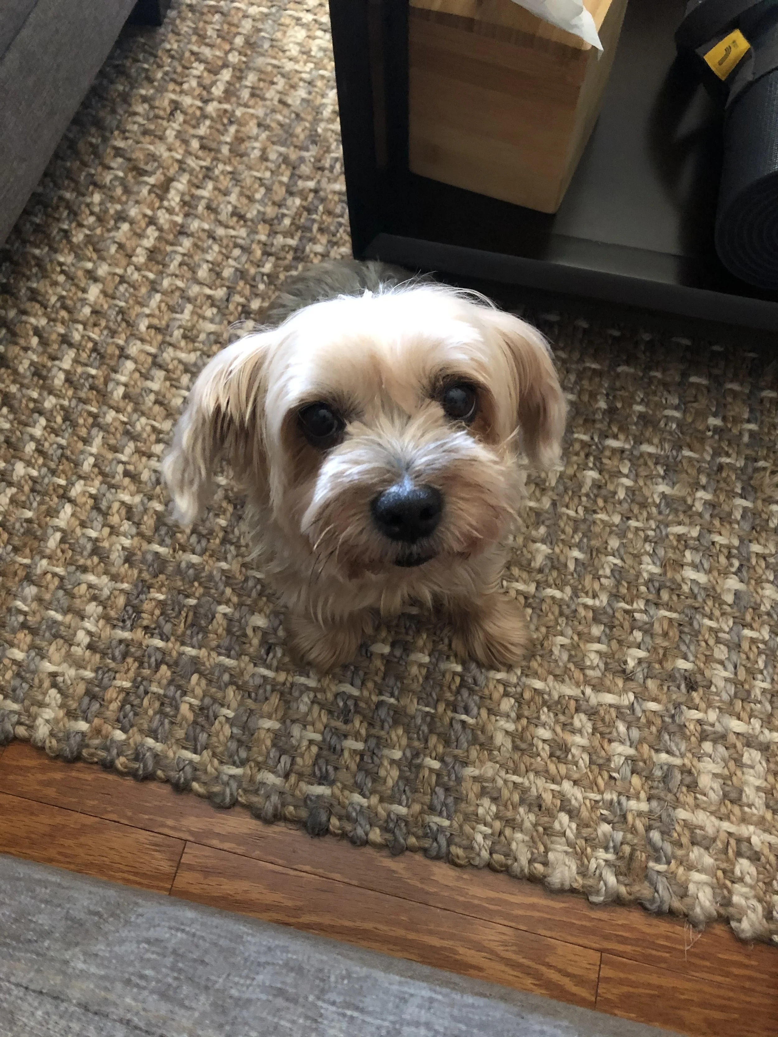 IMG_7506 - Shae Lankston.jpeg