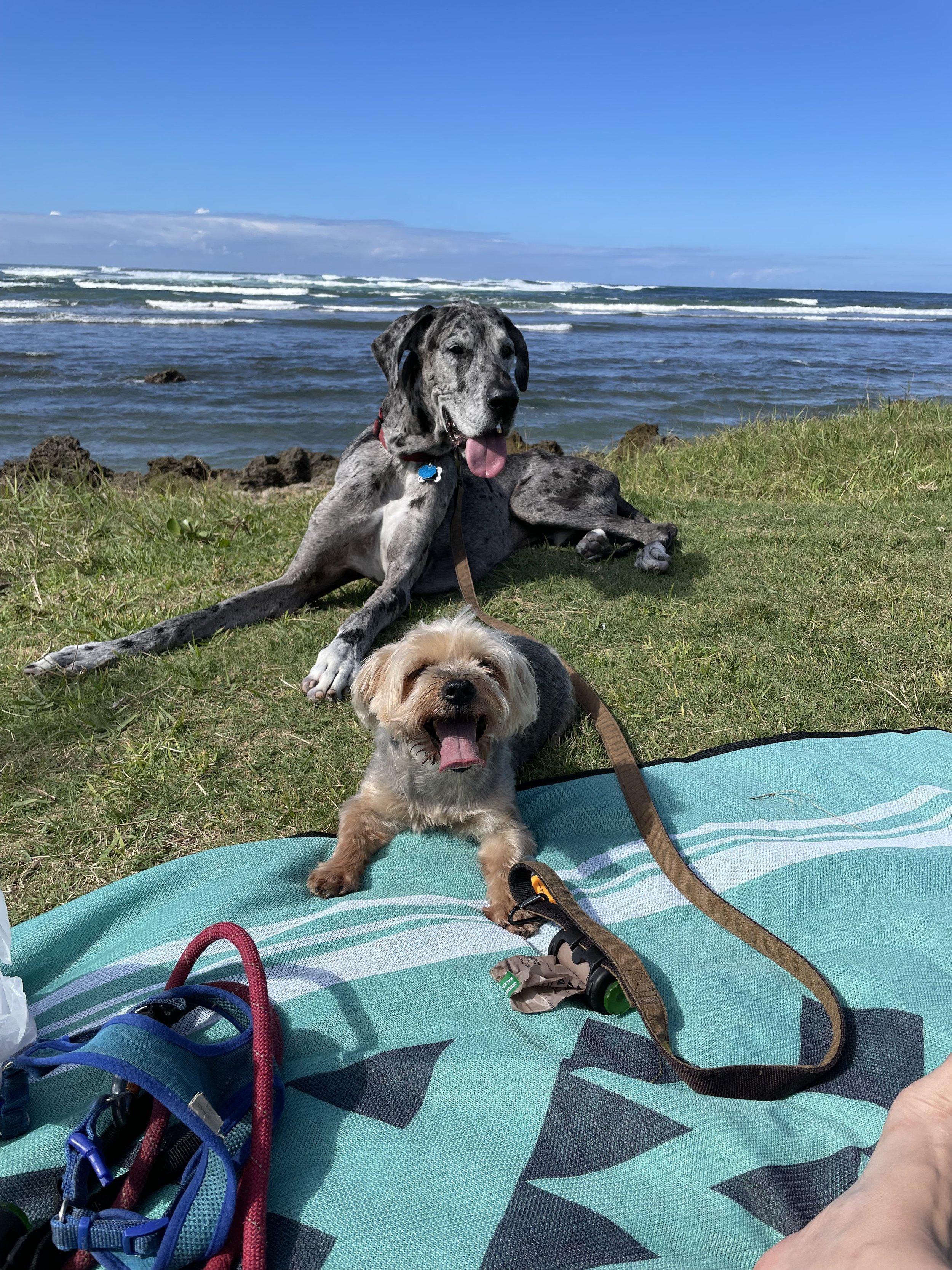 IMG_8884 - Shae Lankston.jpeg