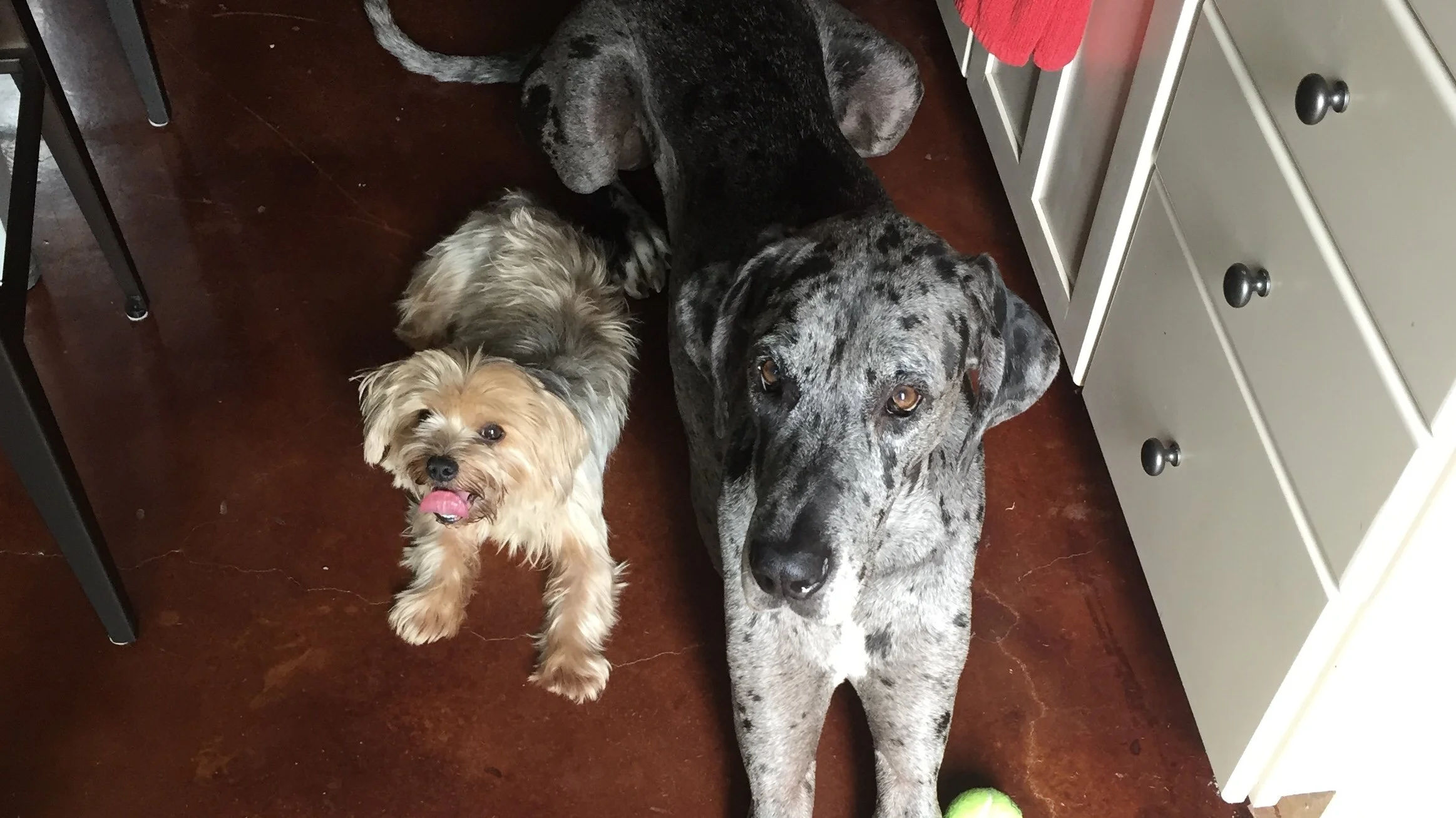 IMG_3375 - Shae Lankston.jpeg