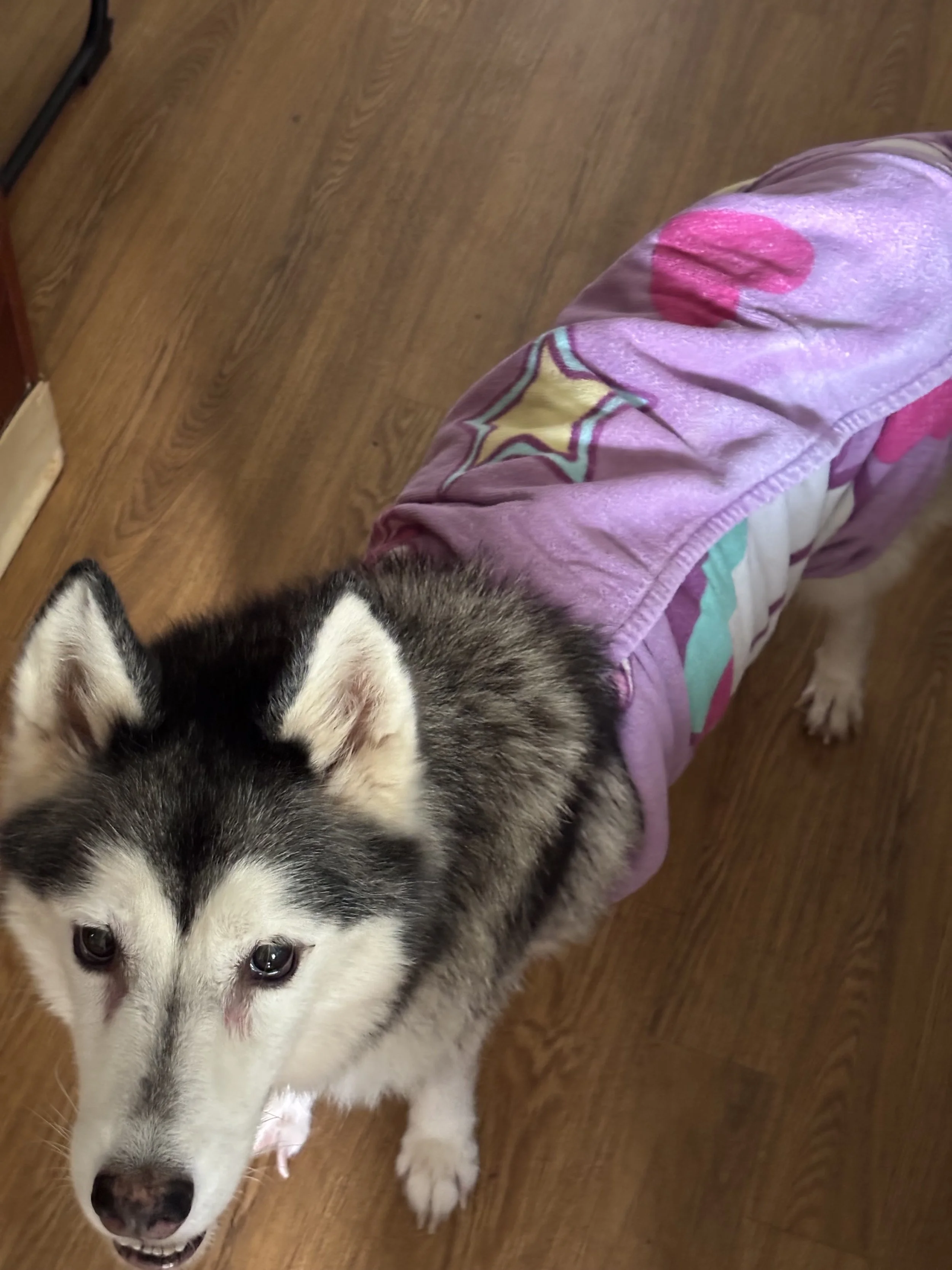 IMG_1692 - W K.jpeg