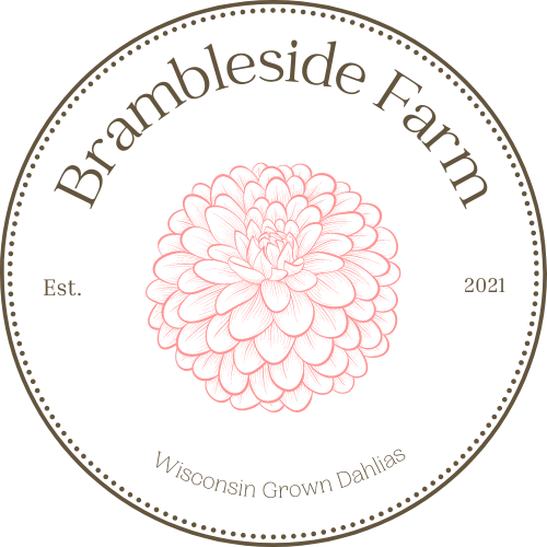 Brambleside Farm- Wisconsin grown dahlias. www.bramblesidefarm.com