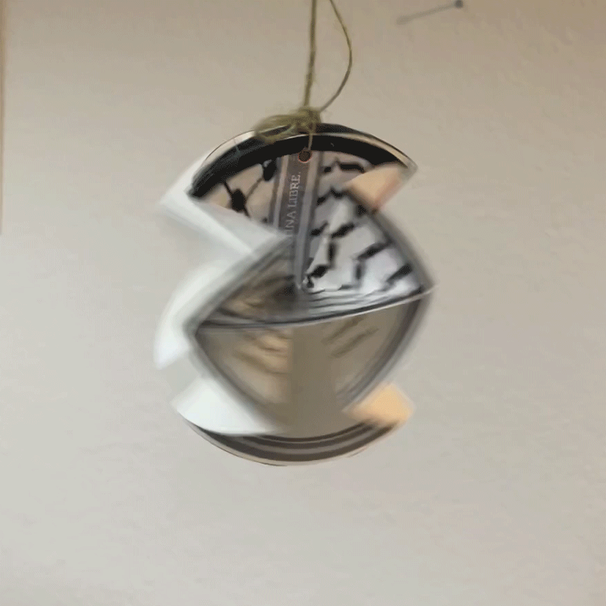 palestine-4.gif