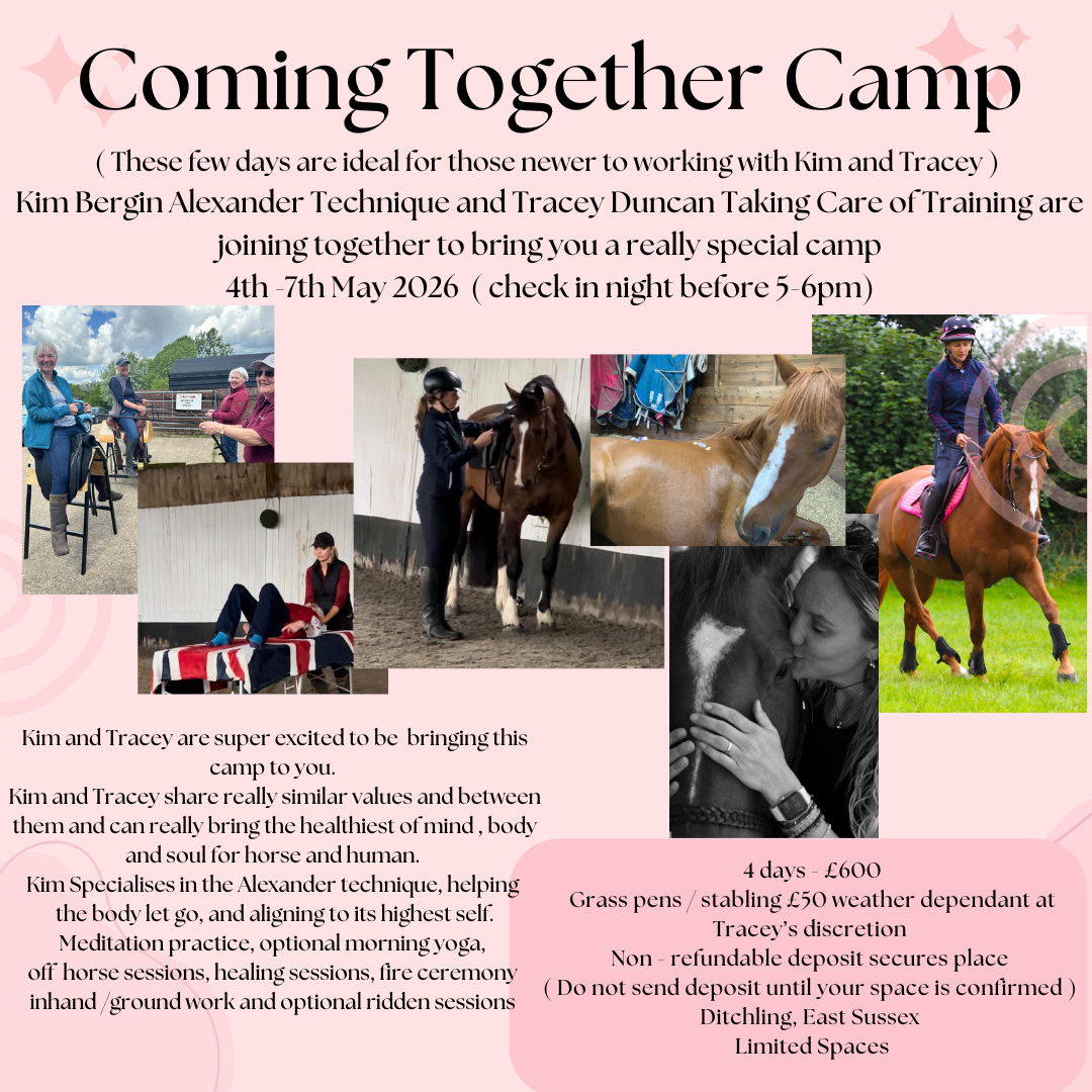 Coming Together Camp 