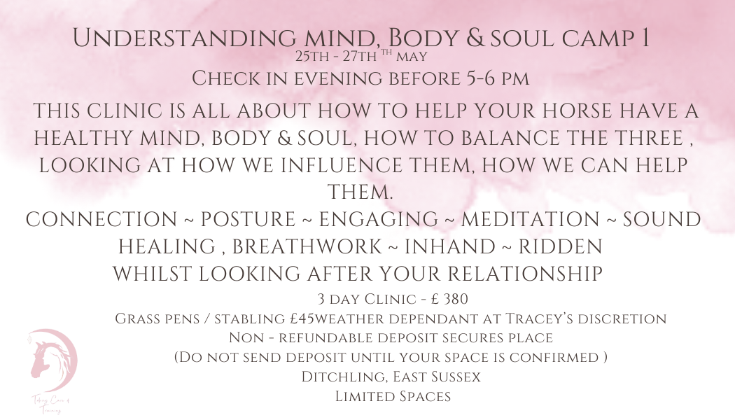 Understanding Mind, Body & Soul (1)