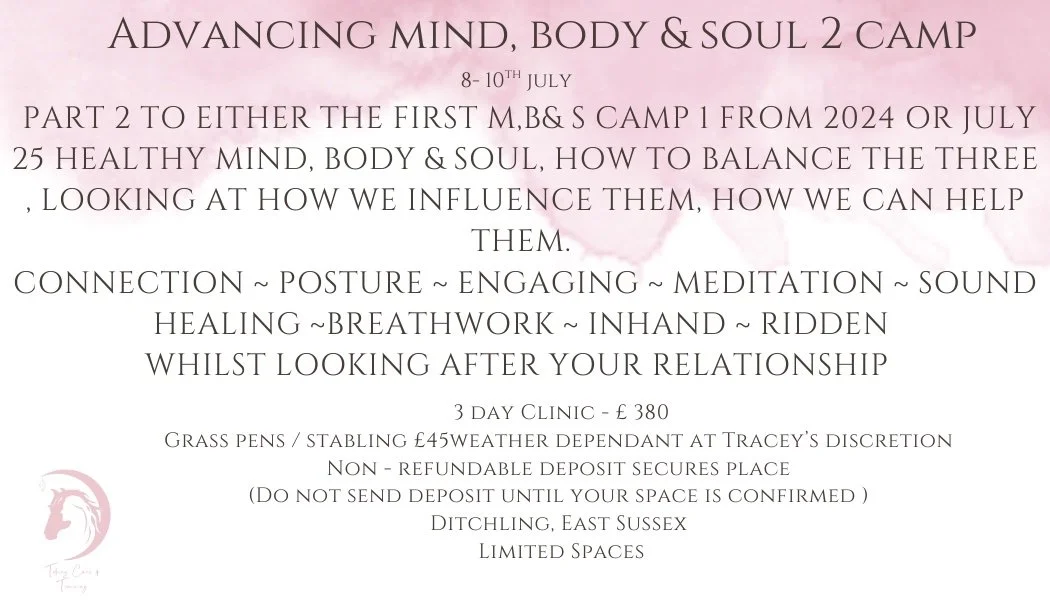 Advancing Mind, Body & Soul (2)