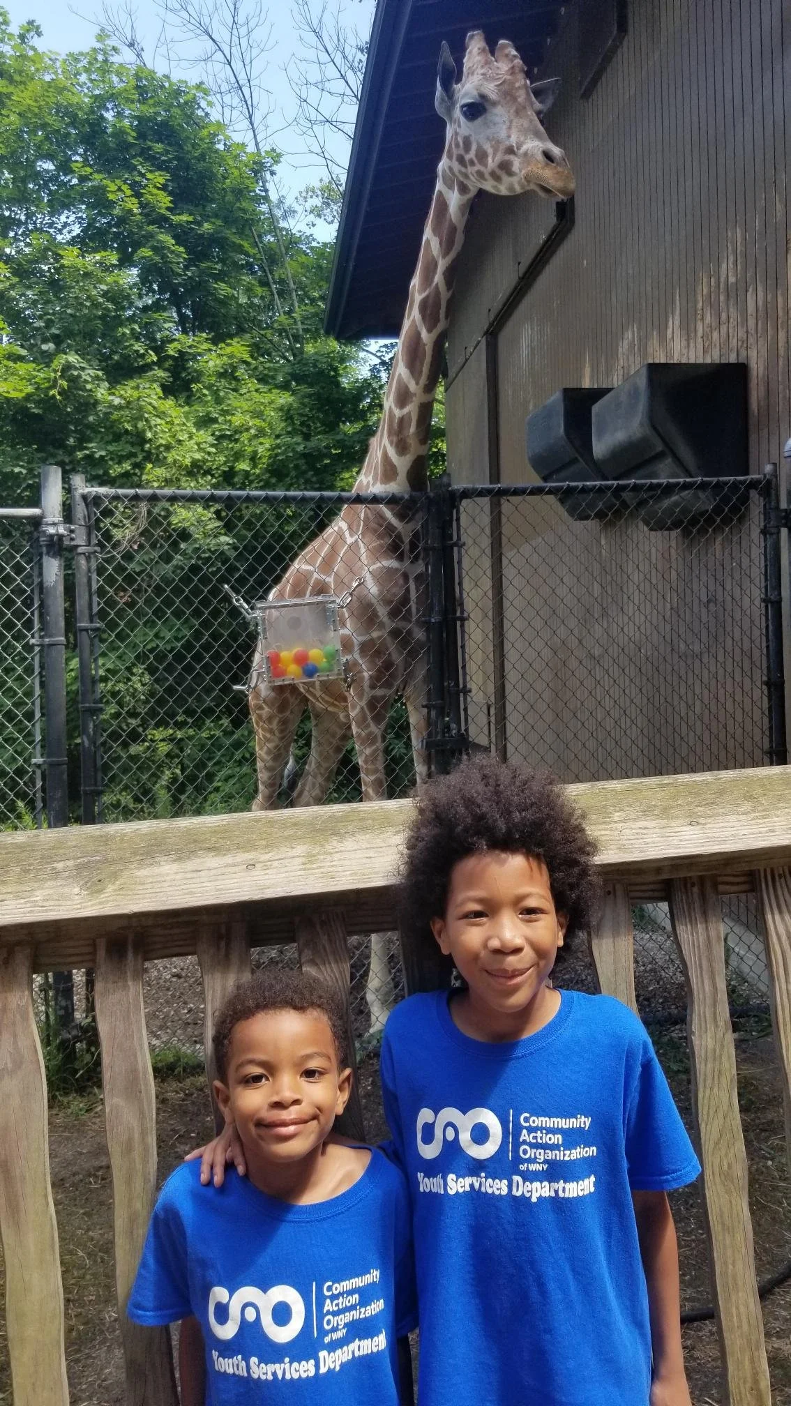 Two young boys wearing blue shirts with 'Community Action Organization Youth Services Department' standing in front of a wooden railing, with a giraffe with a long neck and patterned skin looking over a fence surrounded by trees and greenery.