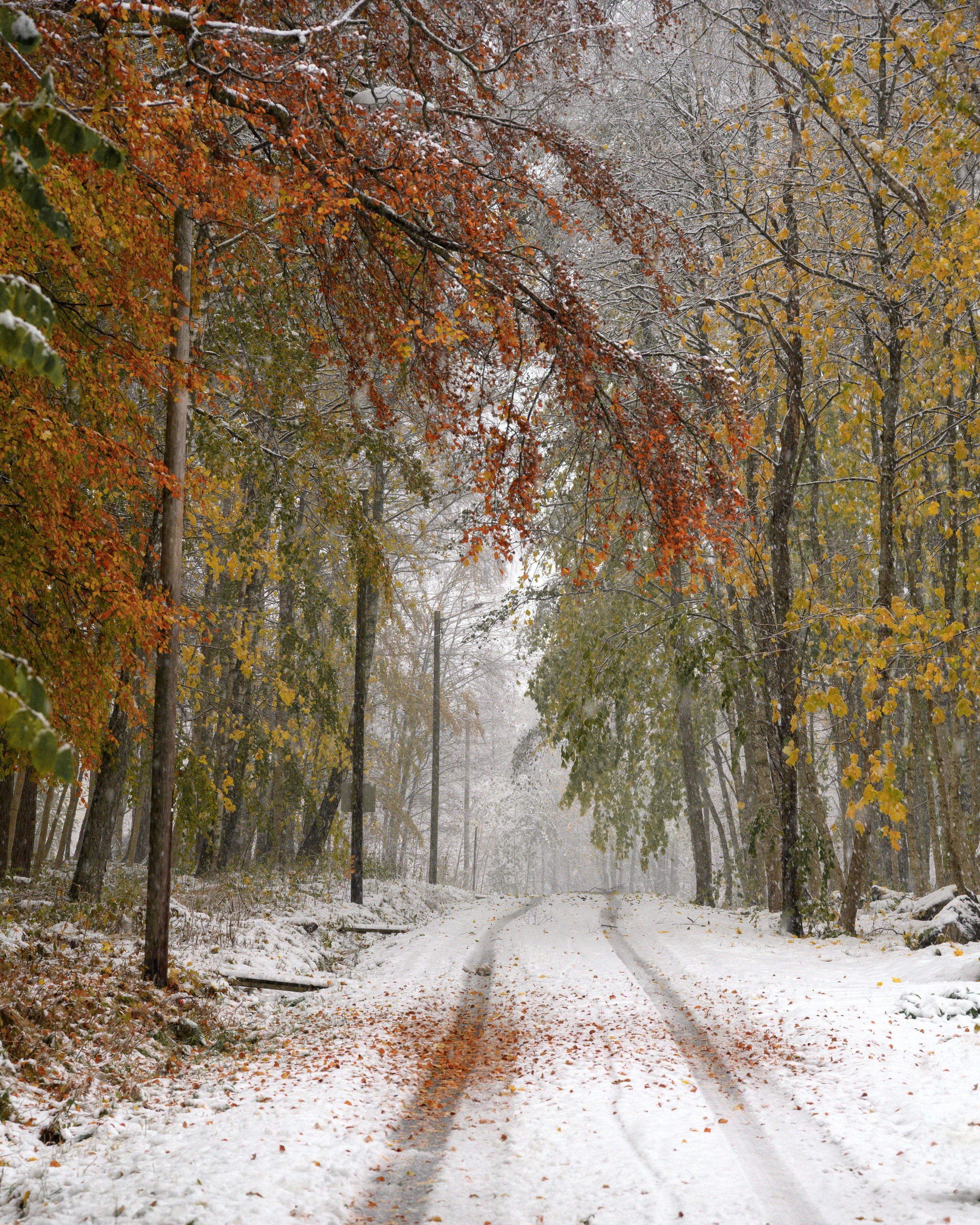 Colourful Winter