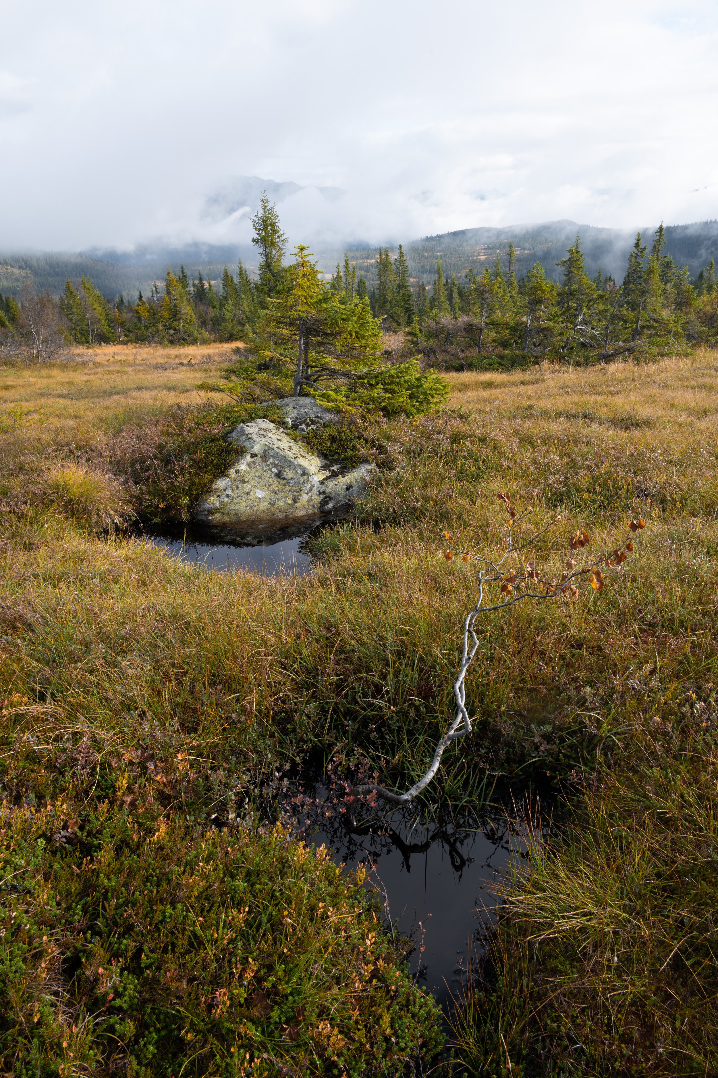 Mountain Wells