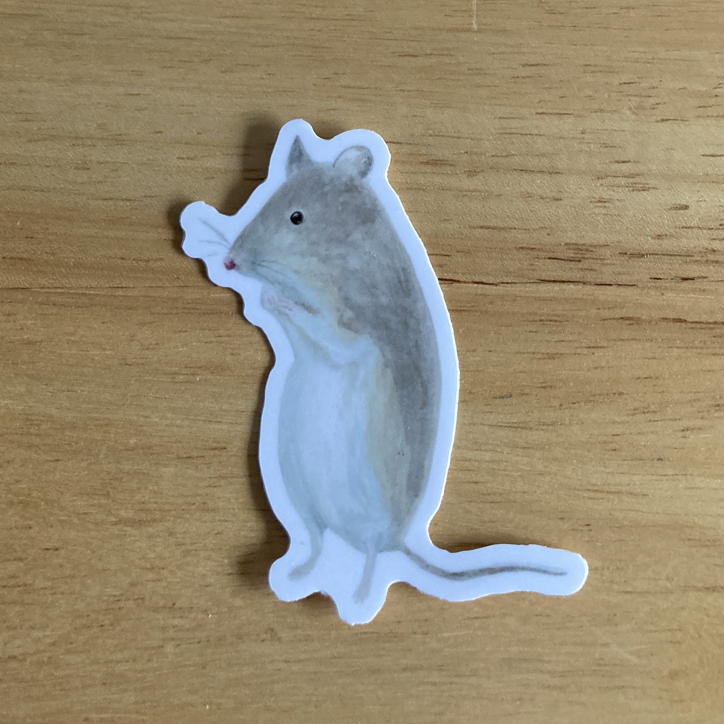 Vinyl Stickers
