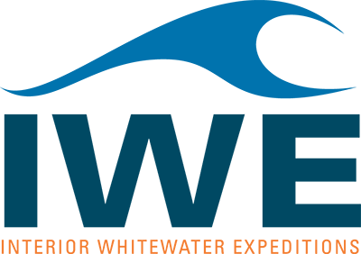 IWE-Logo-1.png