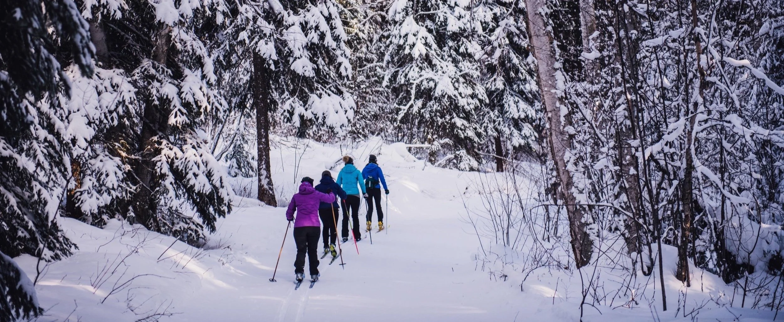Candle Creek XC Ski - Holly Louwerse -78-DSC_9656-2.jpg