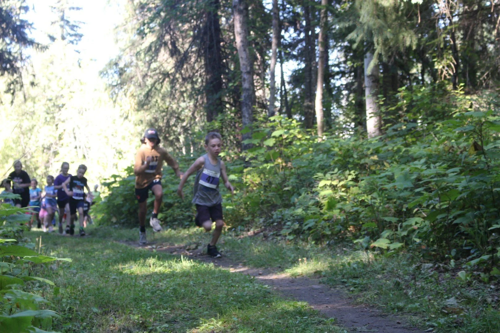 IMG_4259 (Large).JPG