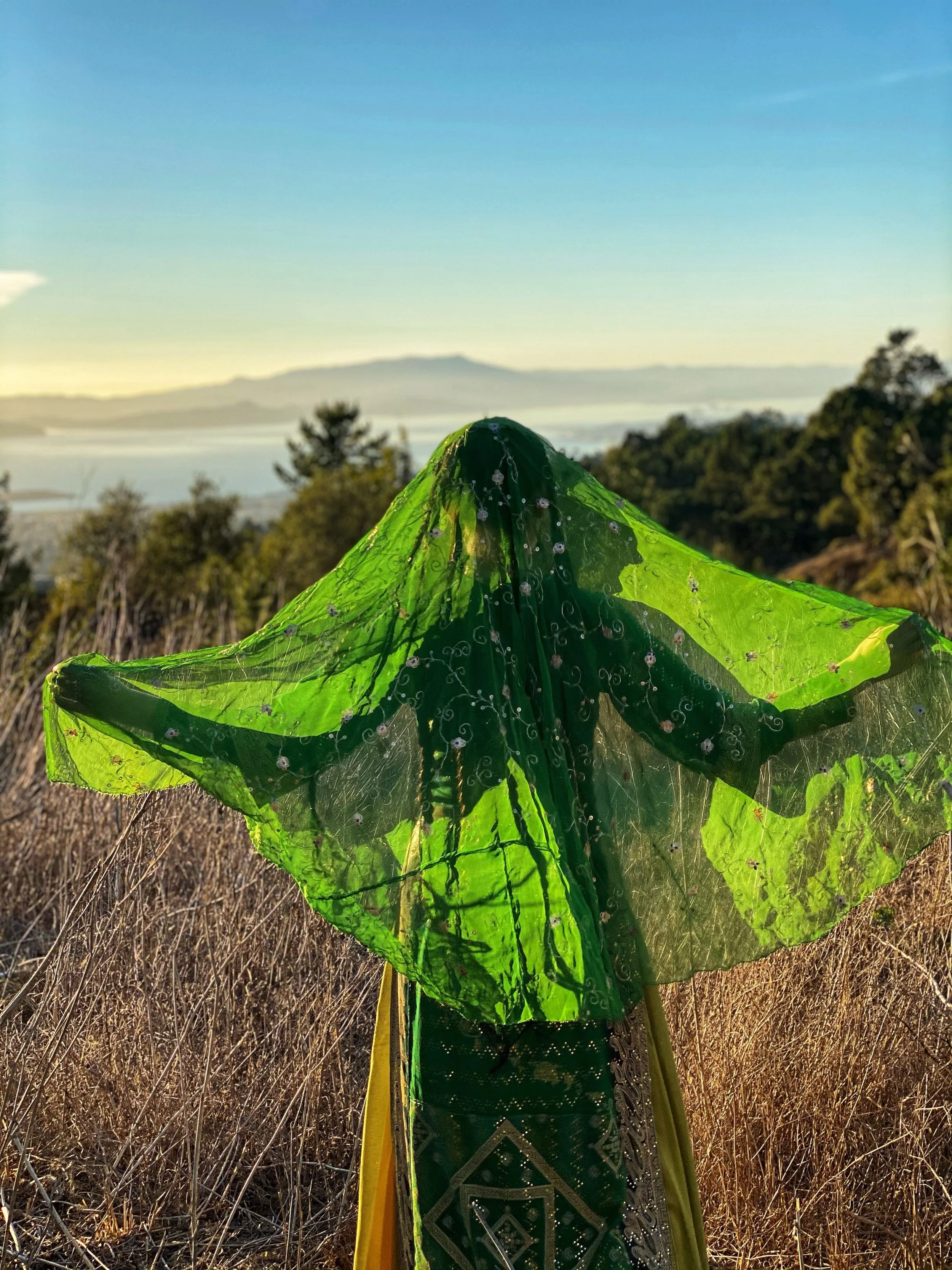 Nowruz Choreography Series | Wednesdays, 6:15-7:45pm | 6-Week Series, February 4th - March 11th