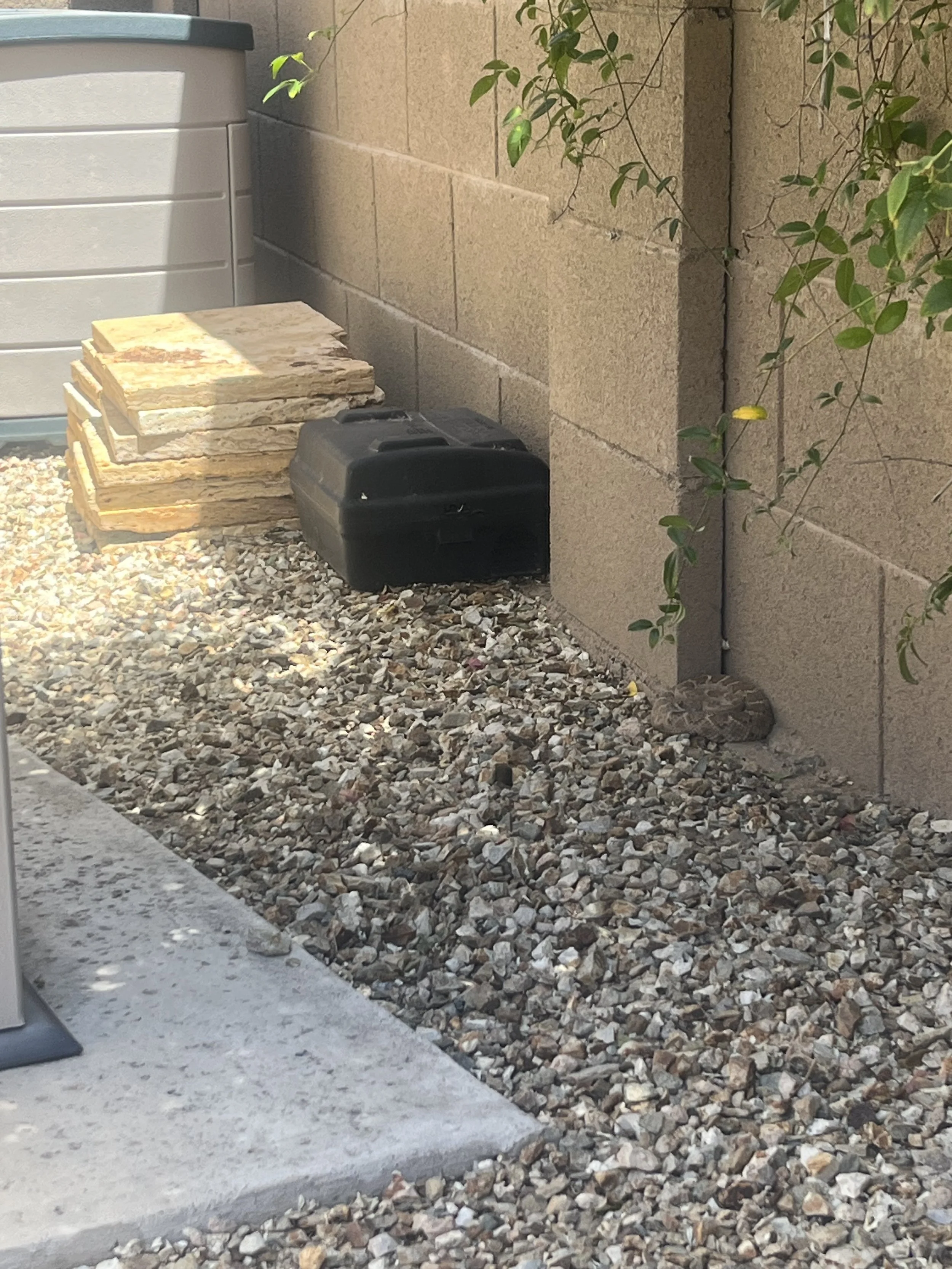 CRAT at rodent box 2023.JPG