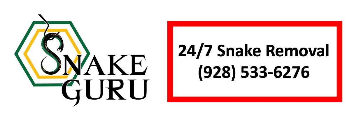 Snake Guru, LLC - 24/7 snake removal based in Phoenix, Arizona. Licensed &amp; insured