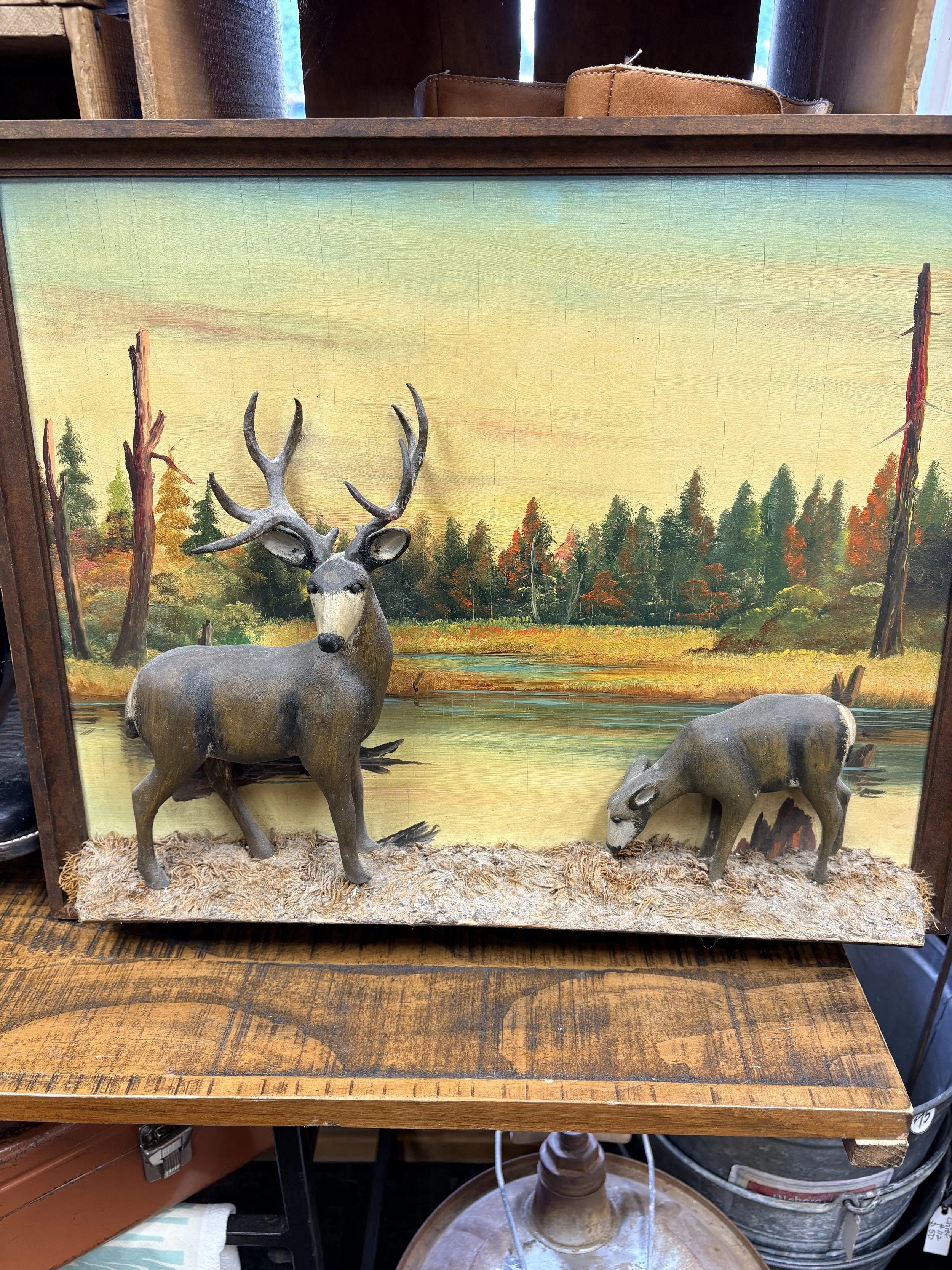 Buck & Doe.jpg