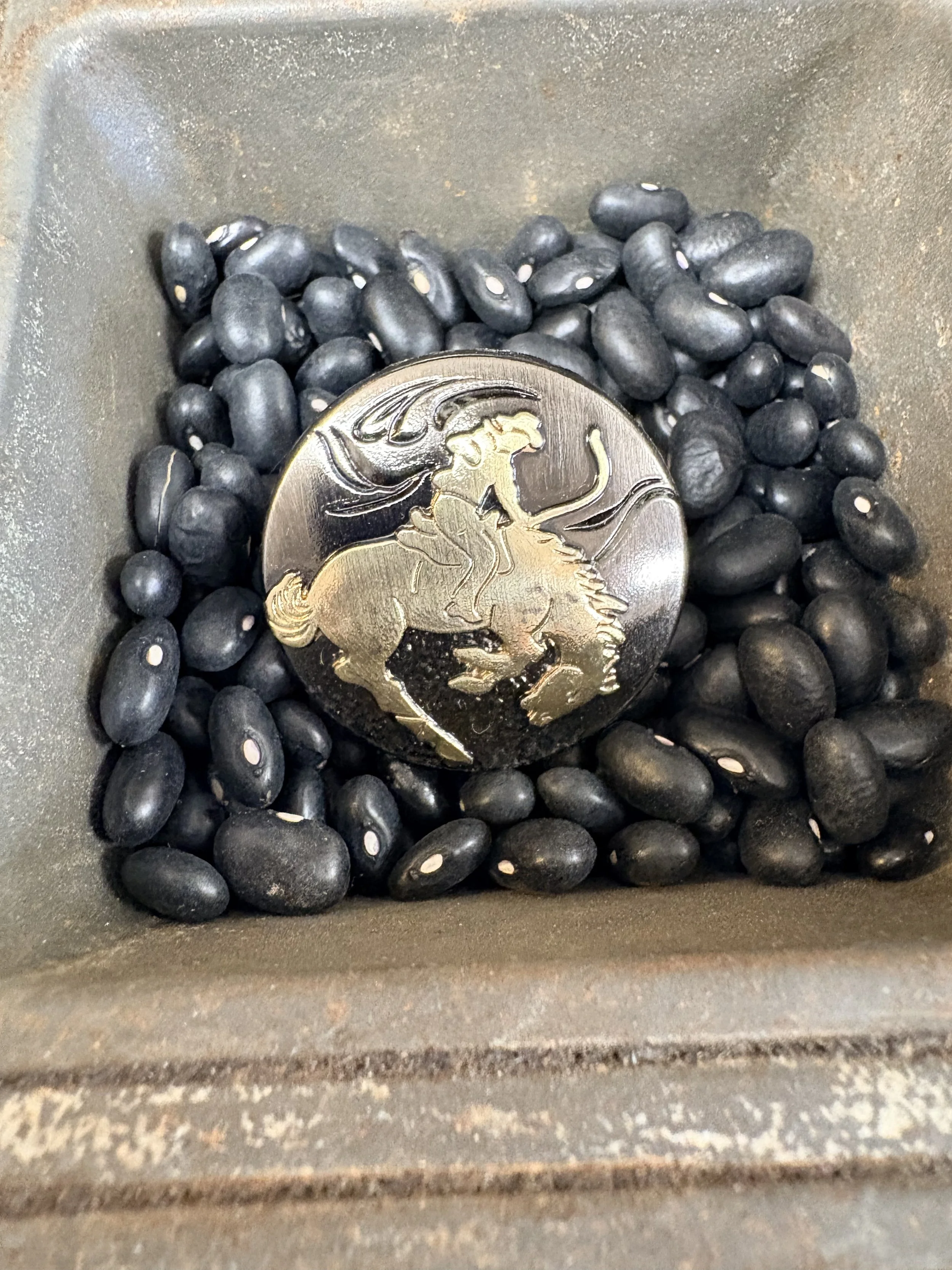 Neckerchief Slide #14.jpg