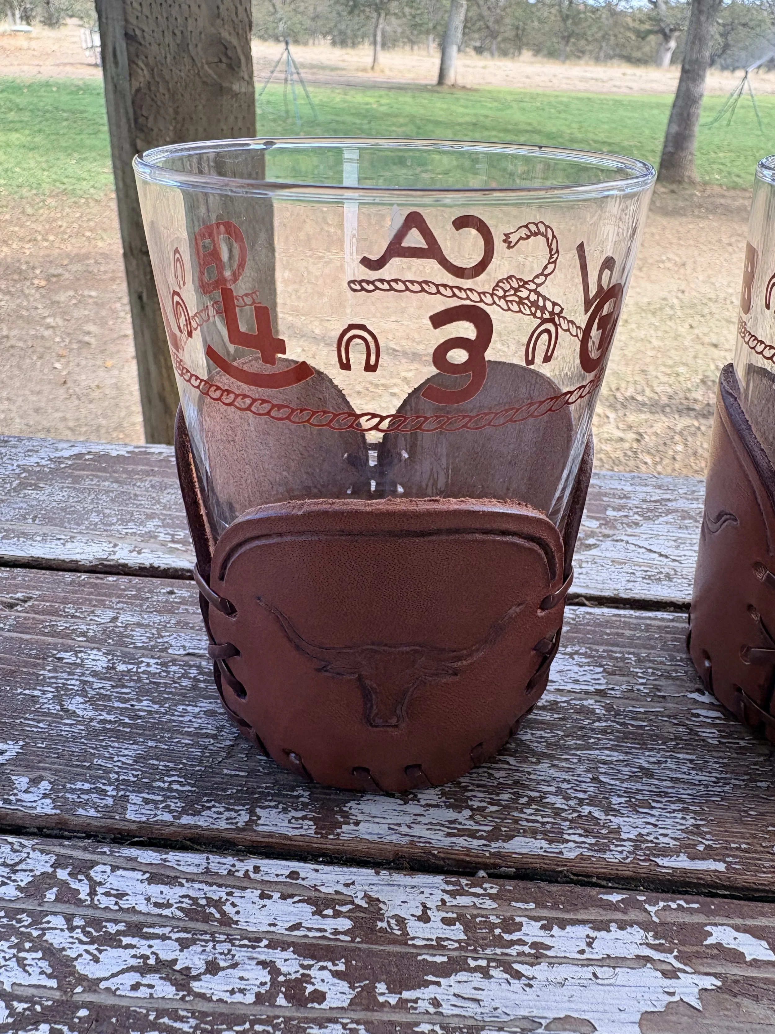 Libby Bamco Western Glasses #4.jpg
