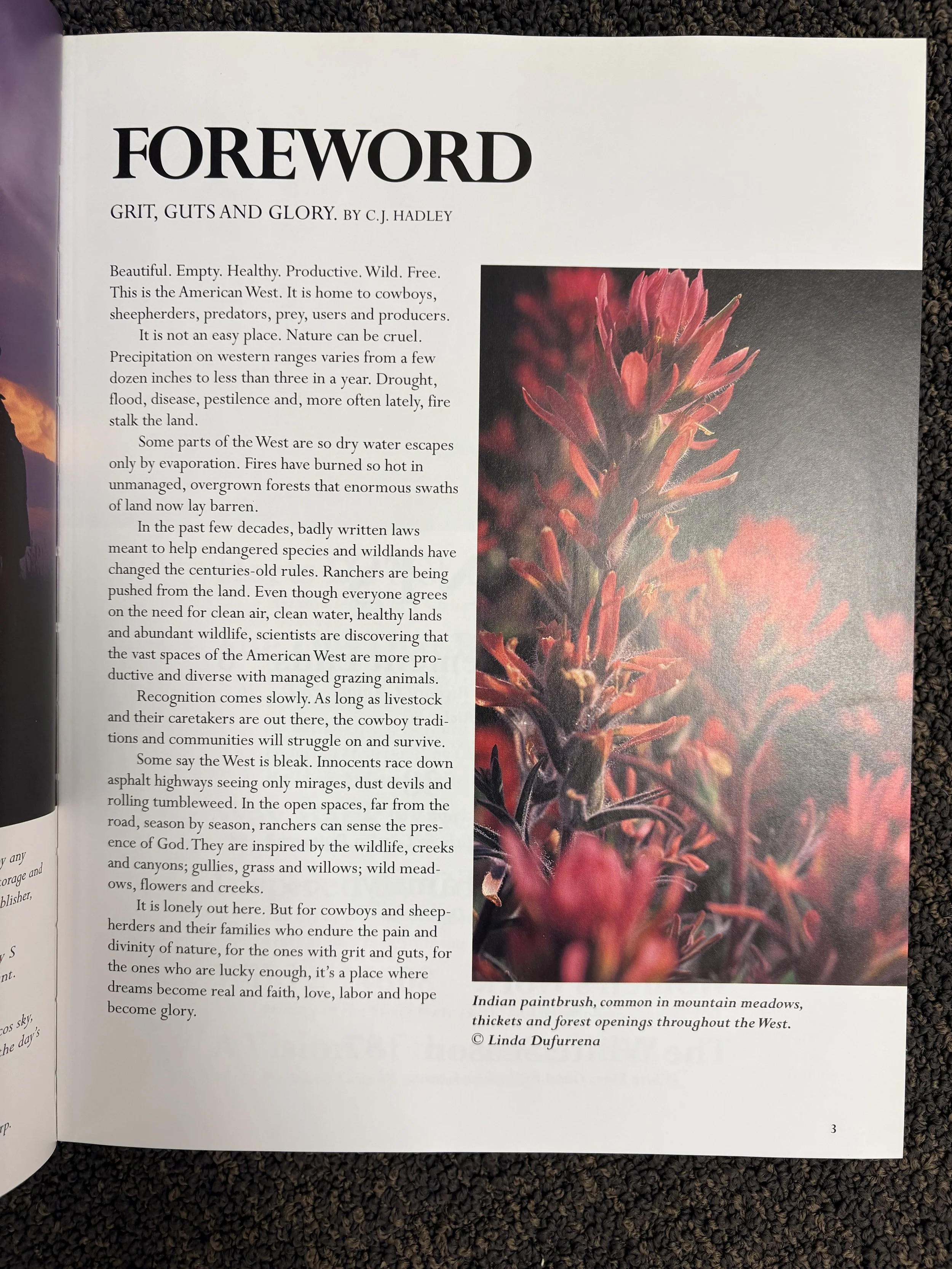 Portrait of the West #2.jpg