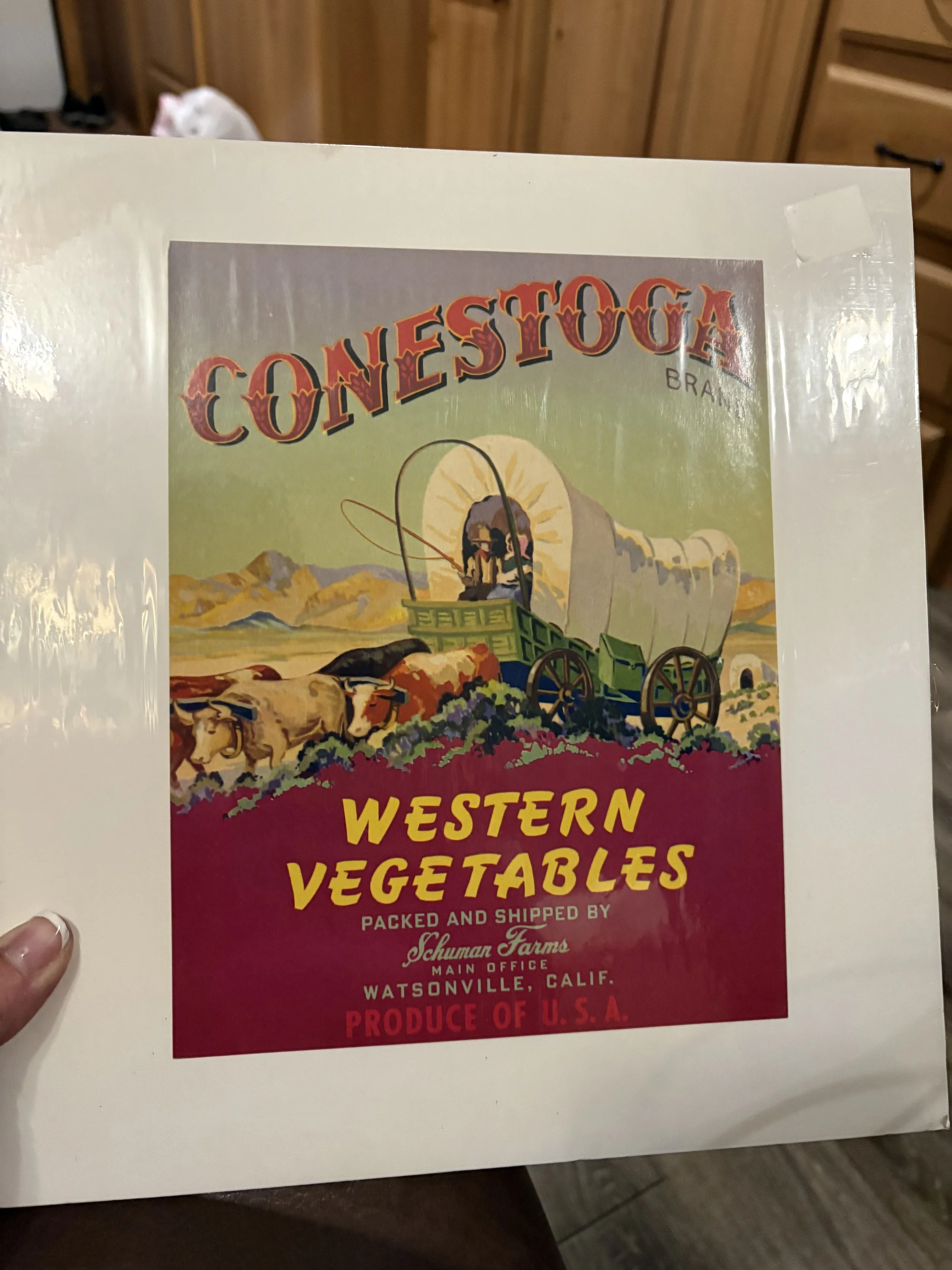 Conestoga Brand #1.jpg