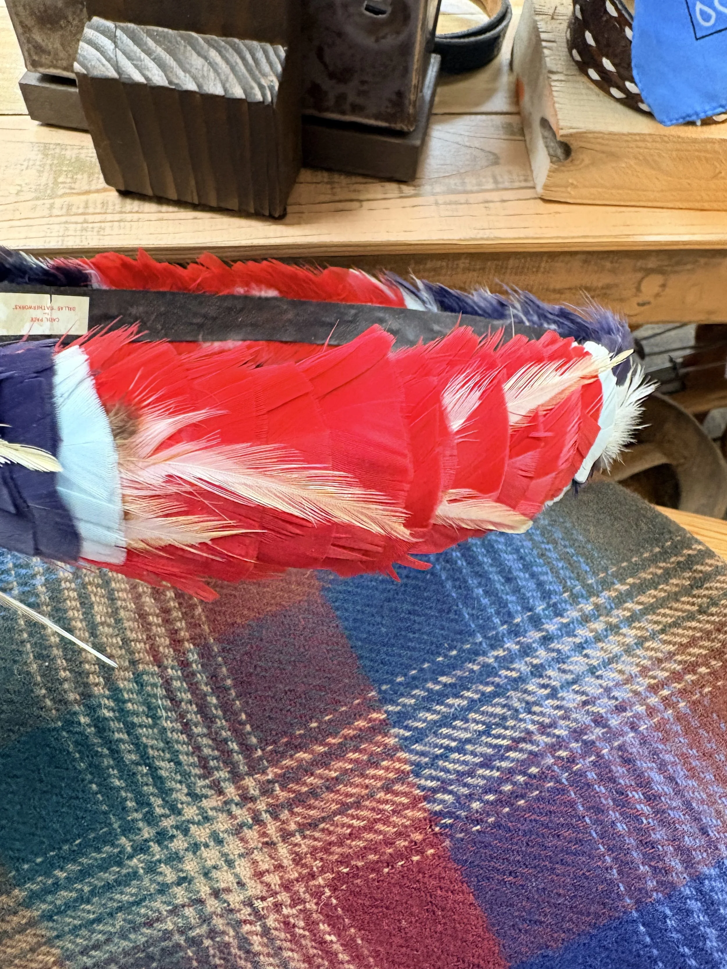 Carol Pace Feather Hat Band #10.jpg