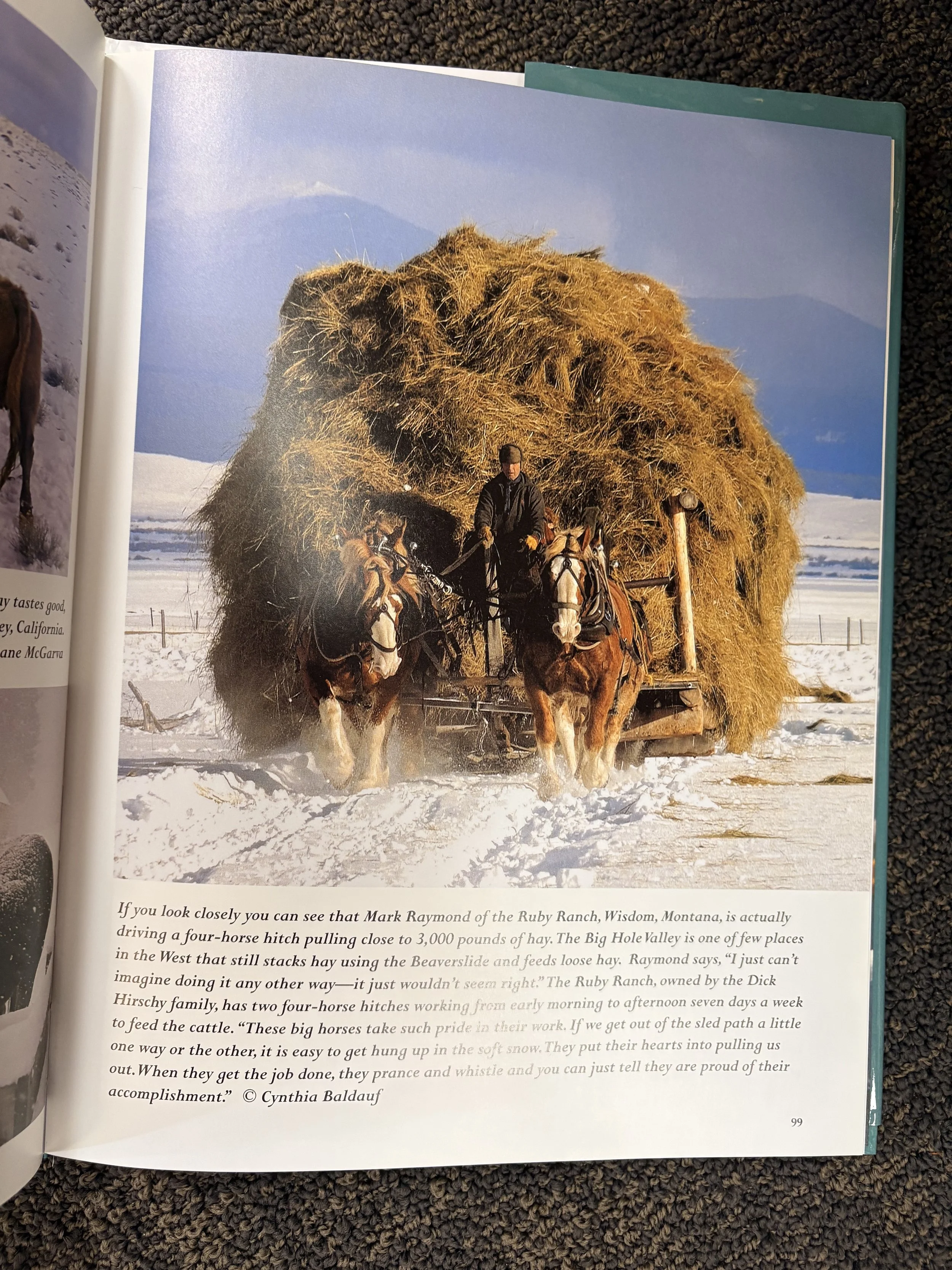 Portrait of the West #3.jpg