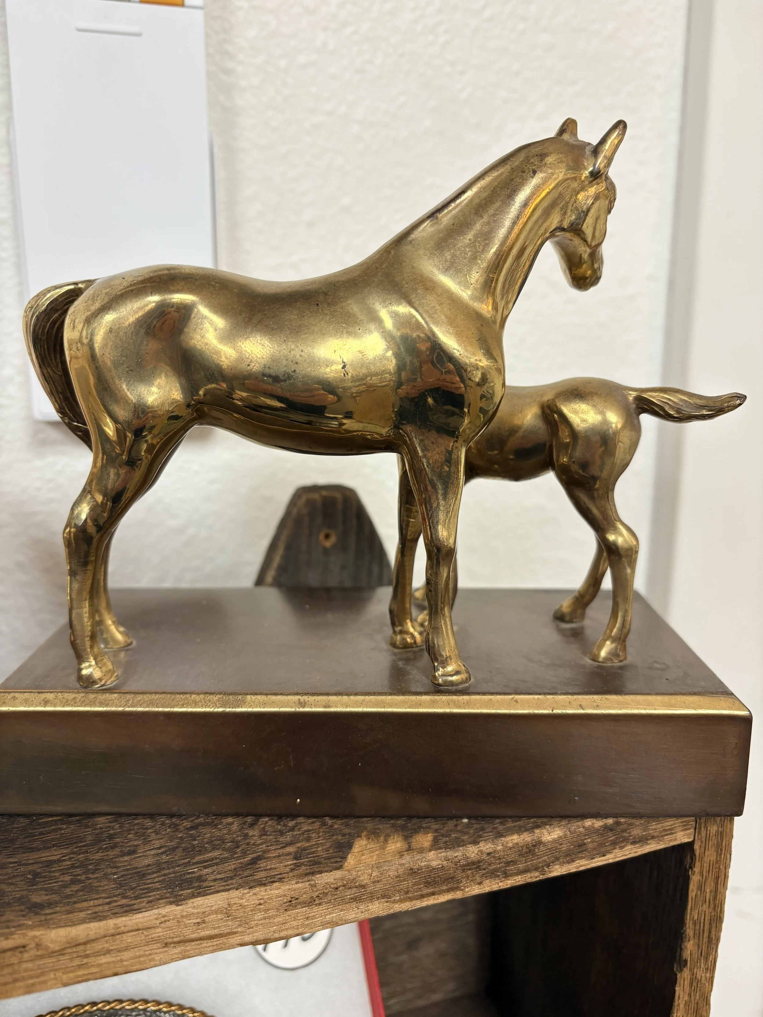 Brass Mare & Foal.jpg