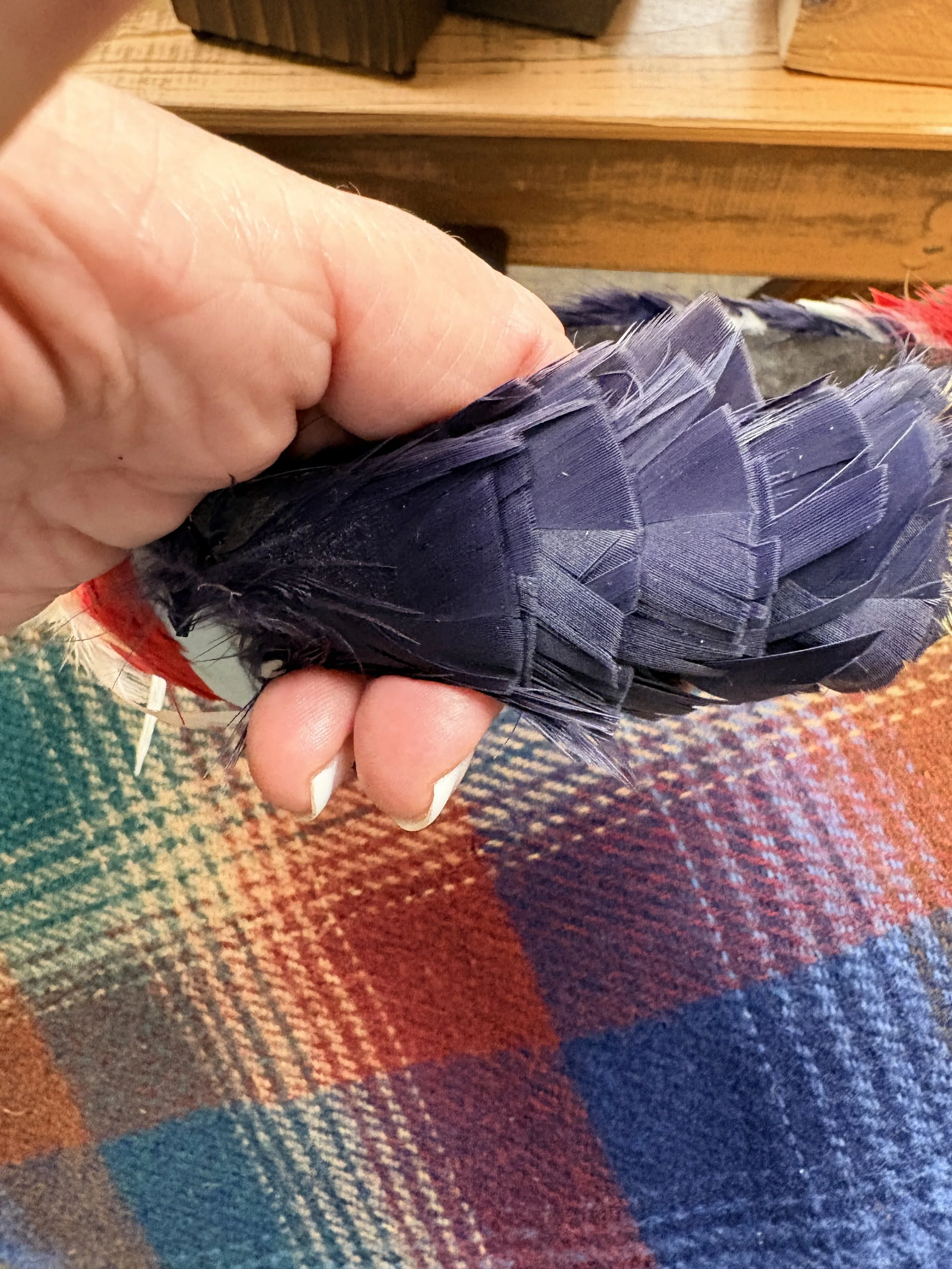 Carol Pace Feather Hat Band #9.jpg