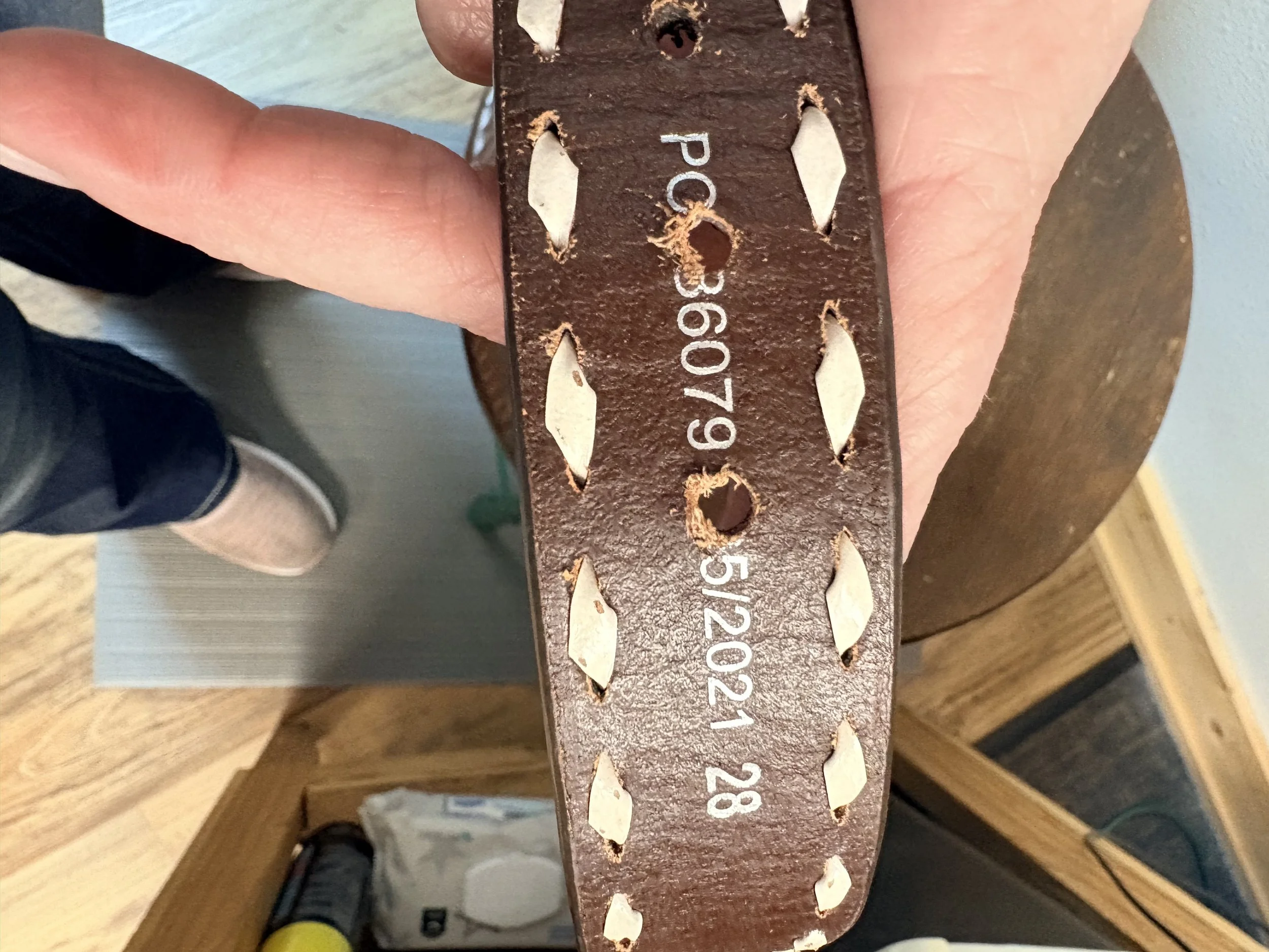 Nocona Youth Western Bel & Buckle #3.jpg