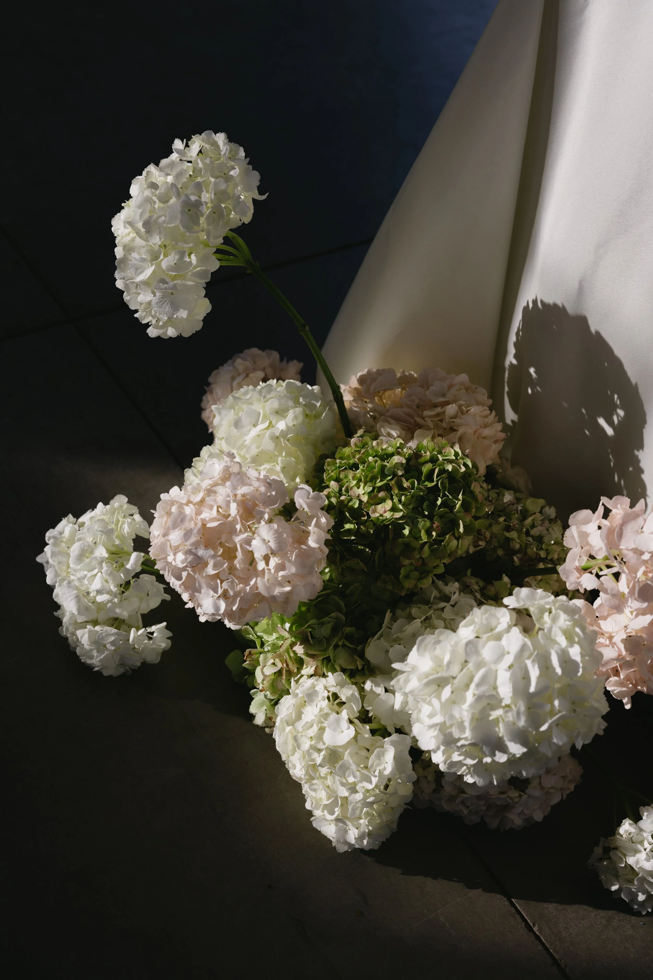 078A9100.jpg