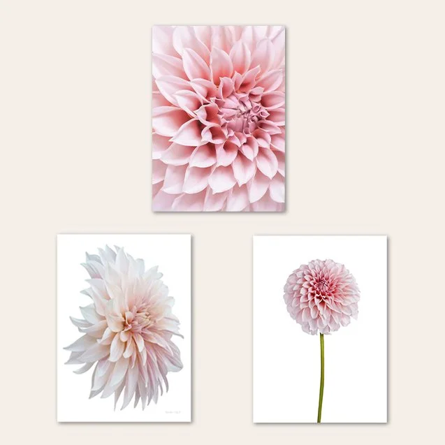 Pink Blooms Notecards