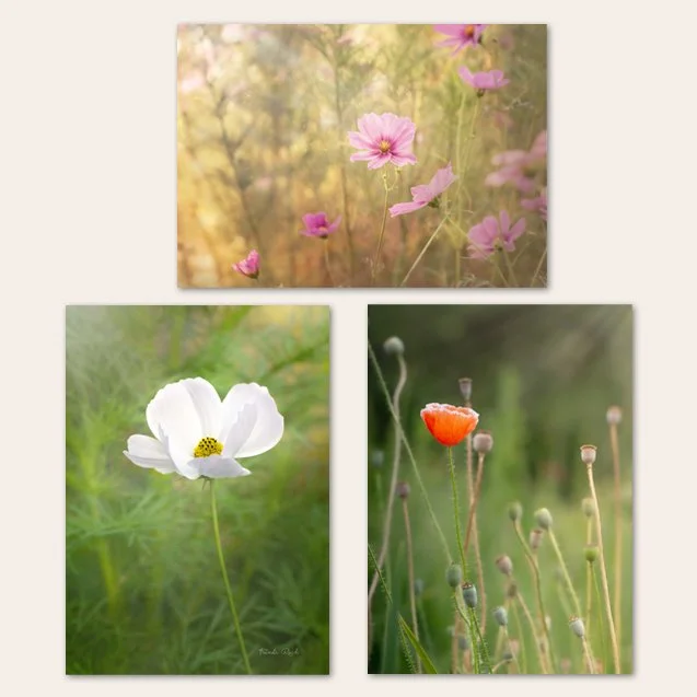 Wildflower Notecards