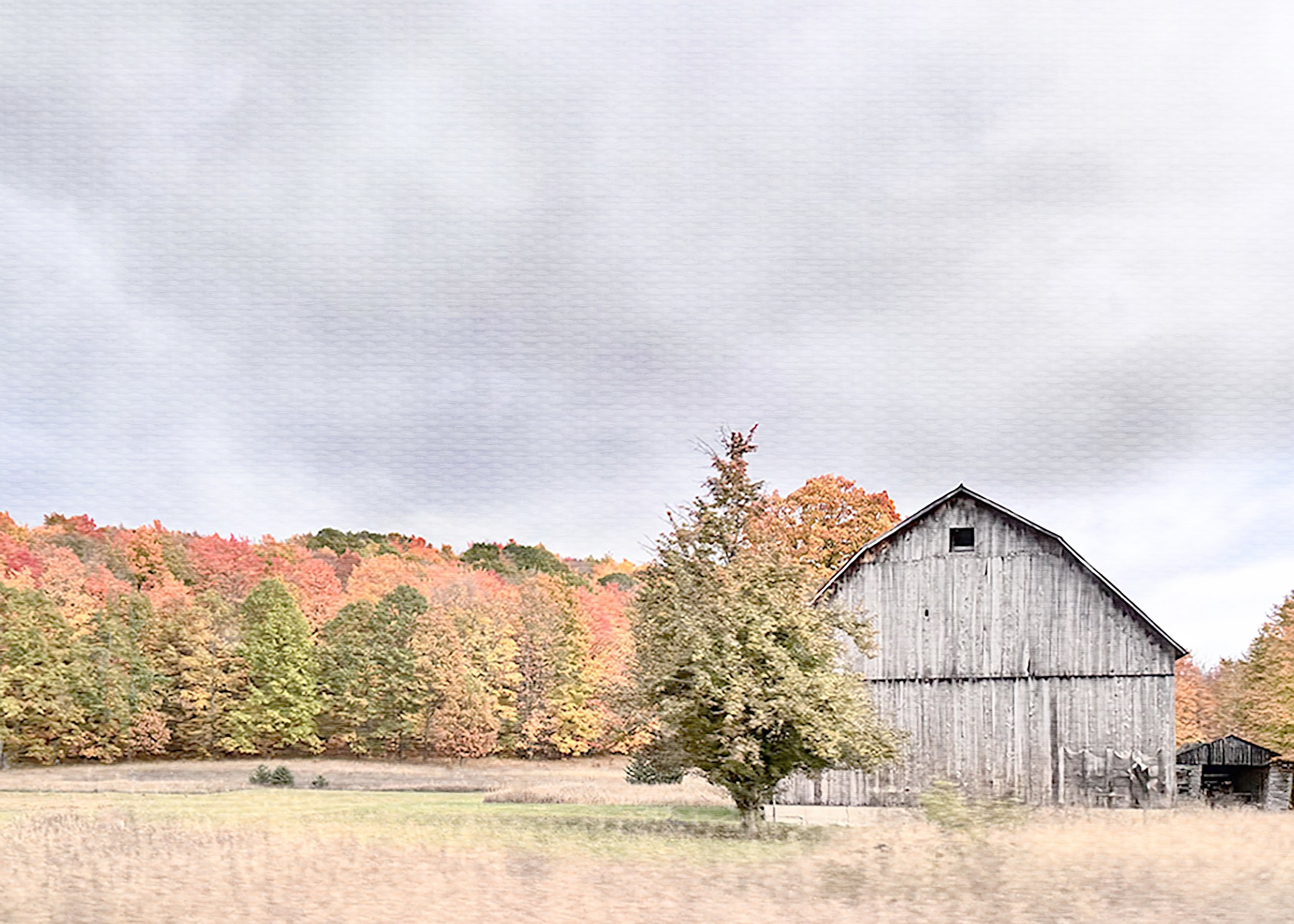 Gray Barn