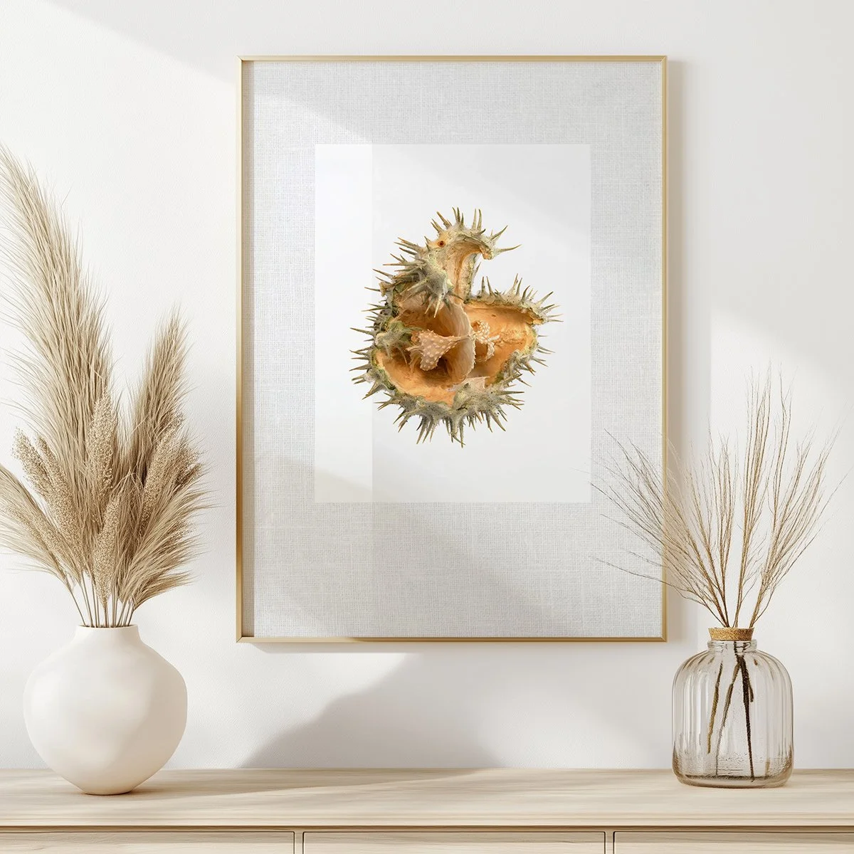 Moonflower Seed Pod Framed