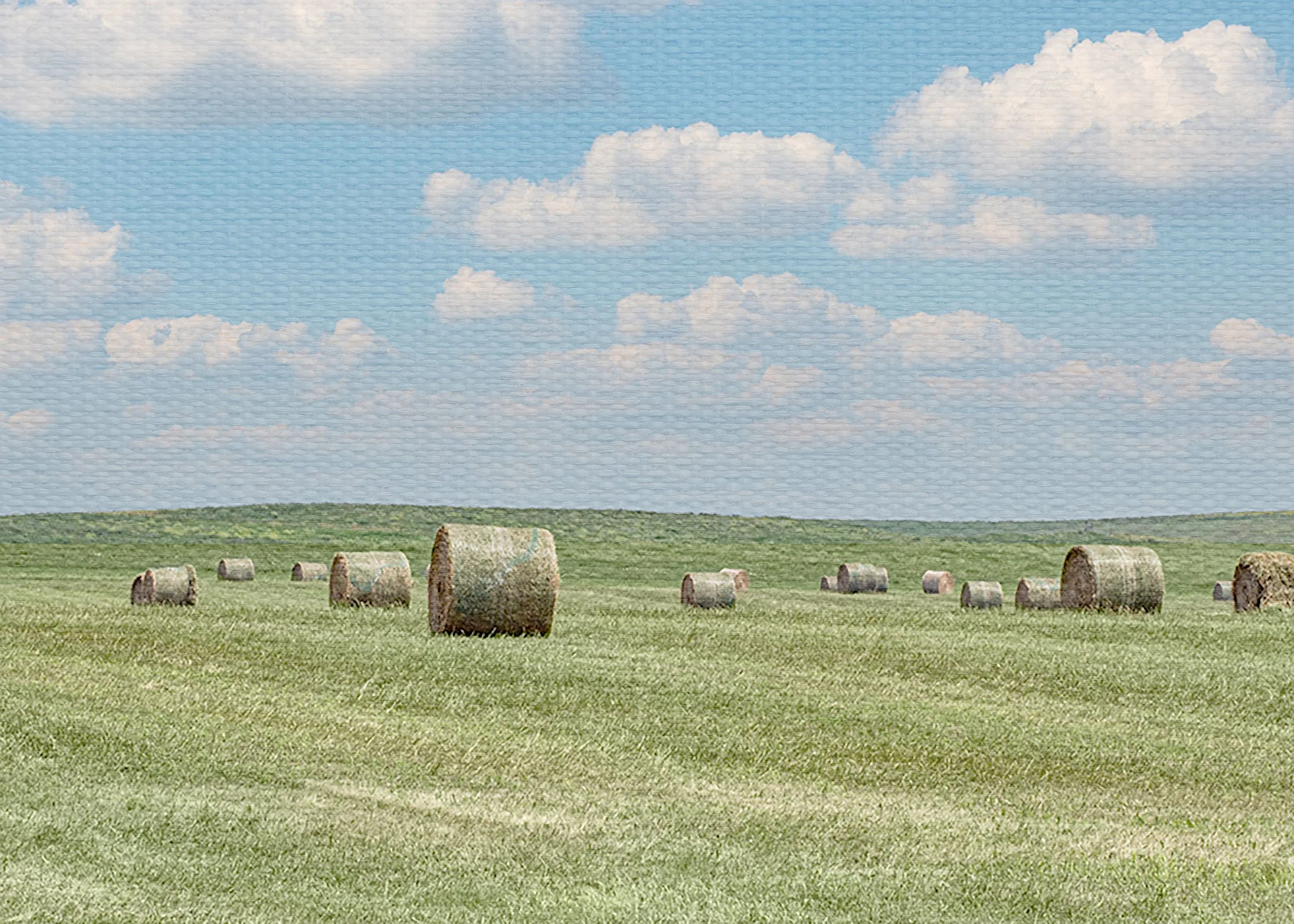 Hay Bales