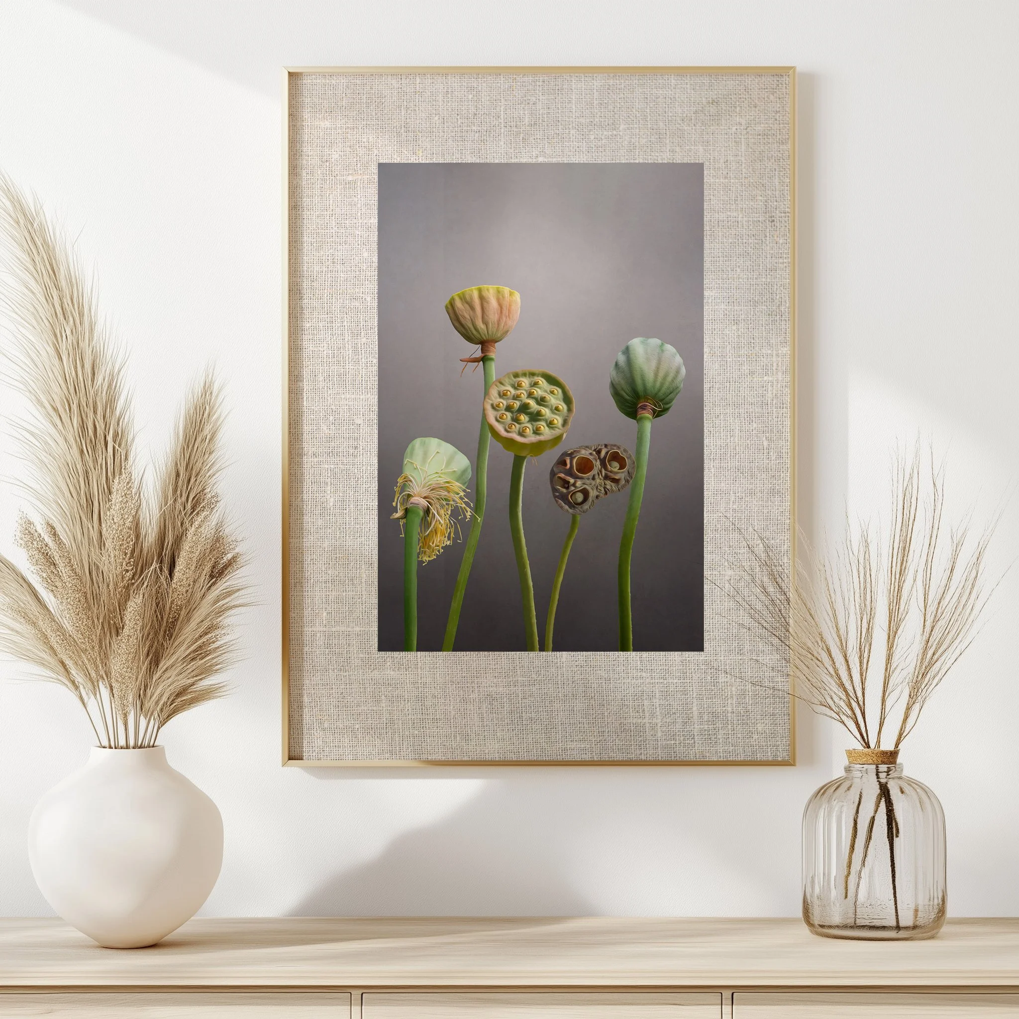 Lotus Pods Framed Print