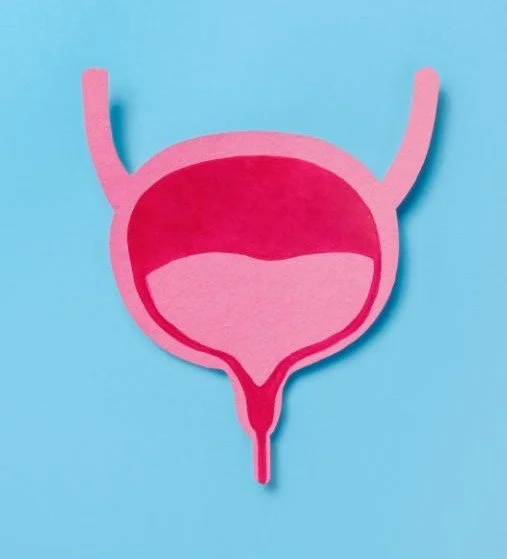 Medical diagram showing female bladder, urethra, and pelvic floor muscles explaining urgency, frequency, and stress urinary incontinence.