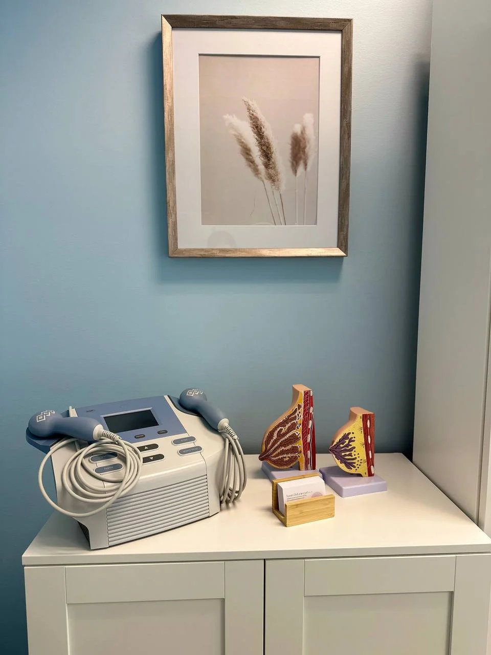 Ultrasound Treatment - Clogged Milk Ducts-burnaby-pelvic-floor.jpg