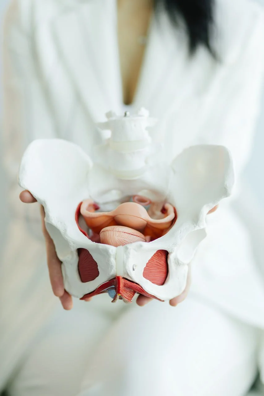 Pelvic-floor-physiotherapy-Burnaby-Bc-OVA-Clinic-Canada-1.jpg